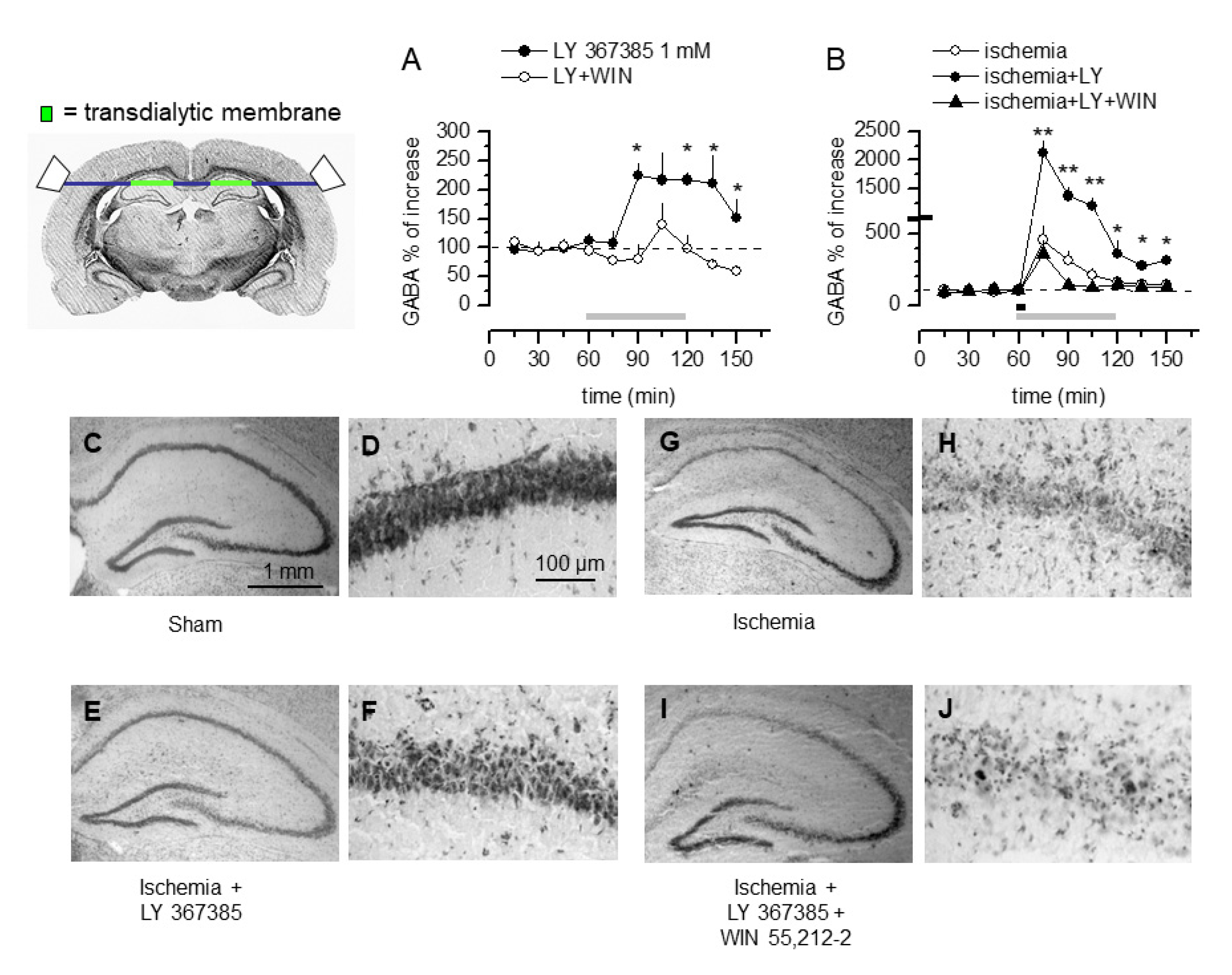 Cells 11 03015 g006 Cells 11 03015 g006