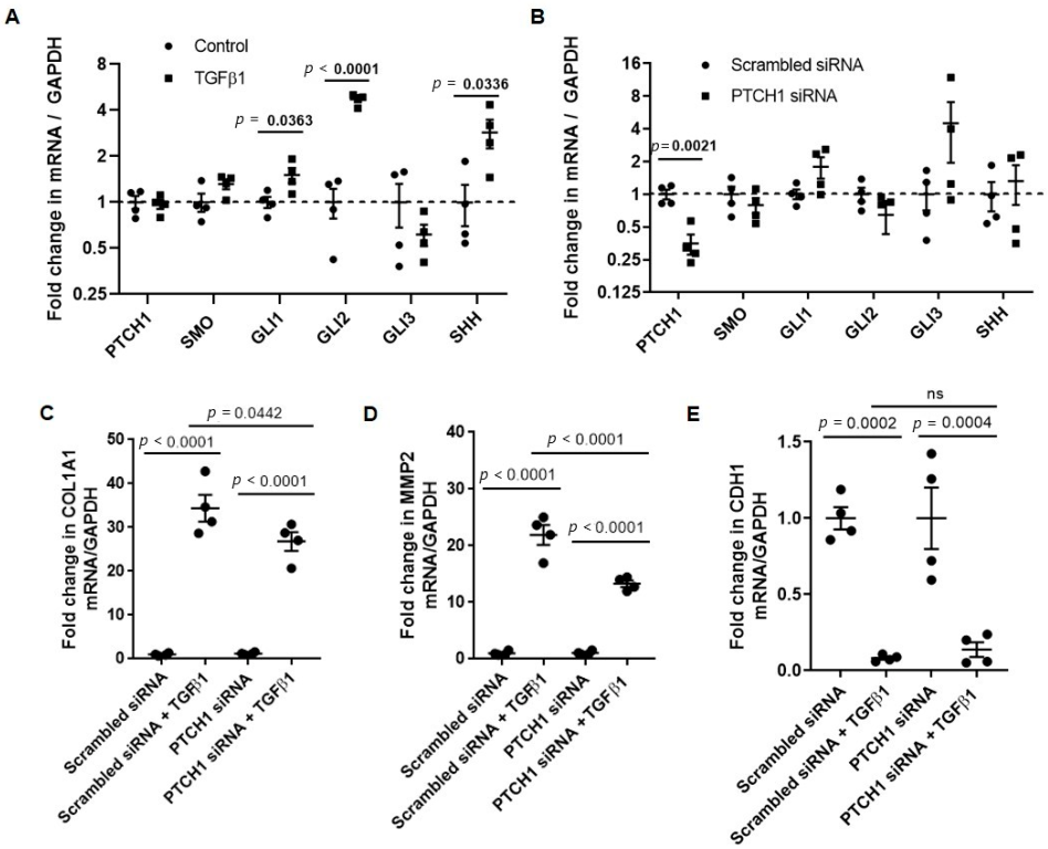 Cells 11 03016 g001 Cells 11 03016 g001