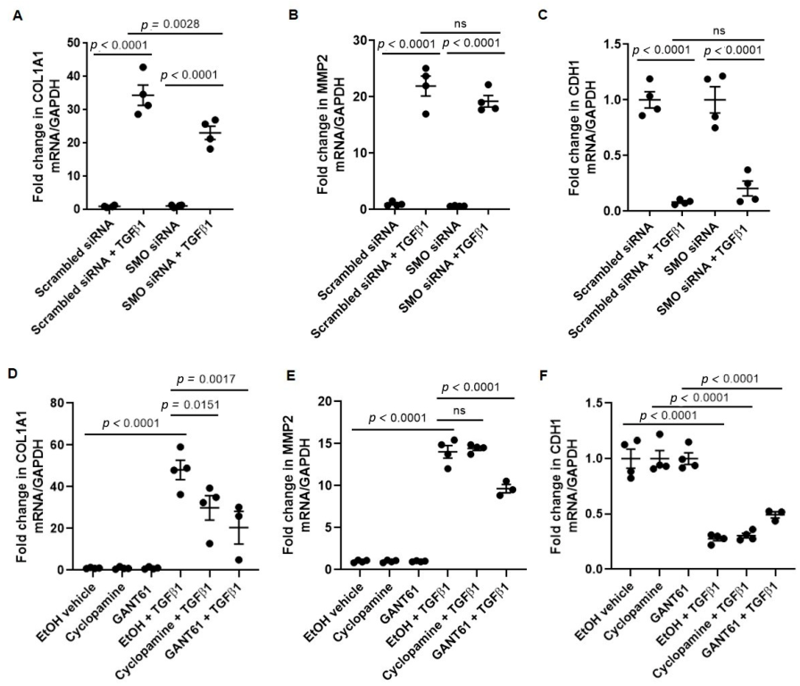 Cells 11 03016 g003 Cells 11 03016 g003
