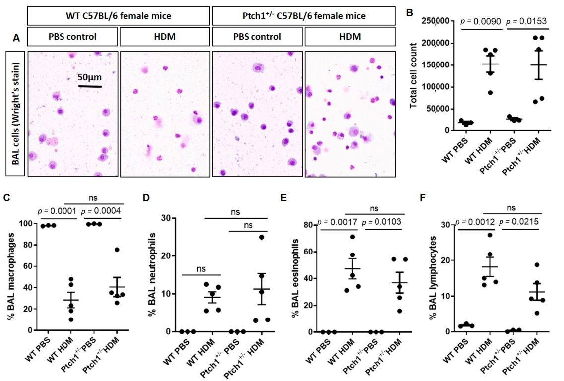 Cells 11 03016 g007 Cells 11 03016 g007