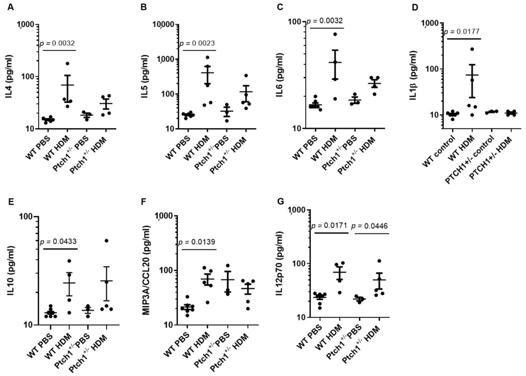 Cells 11 03016 g008 Cells 11 03016 g008
