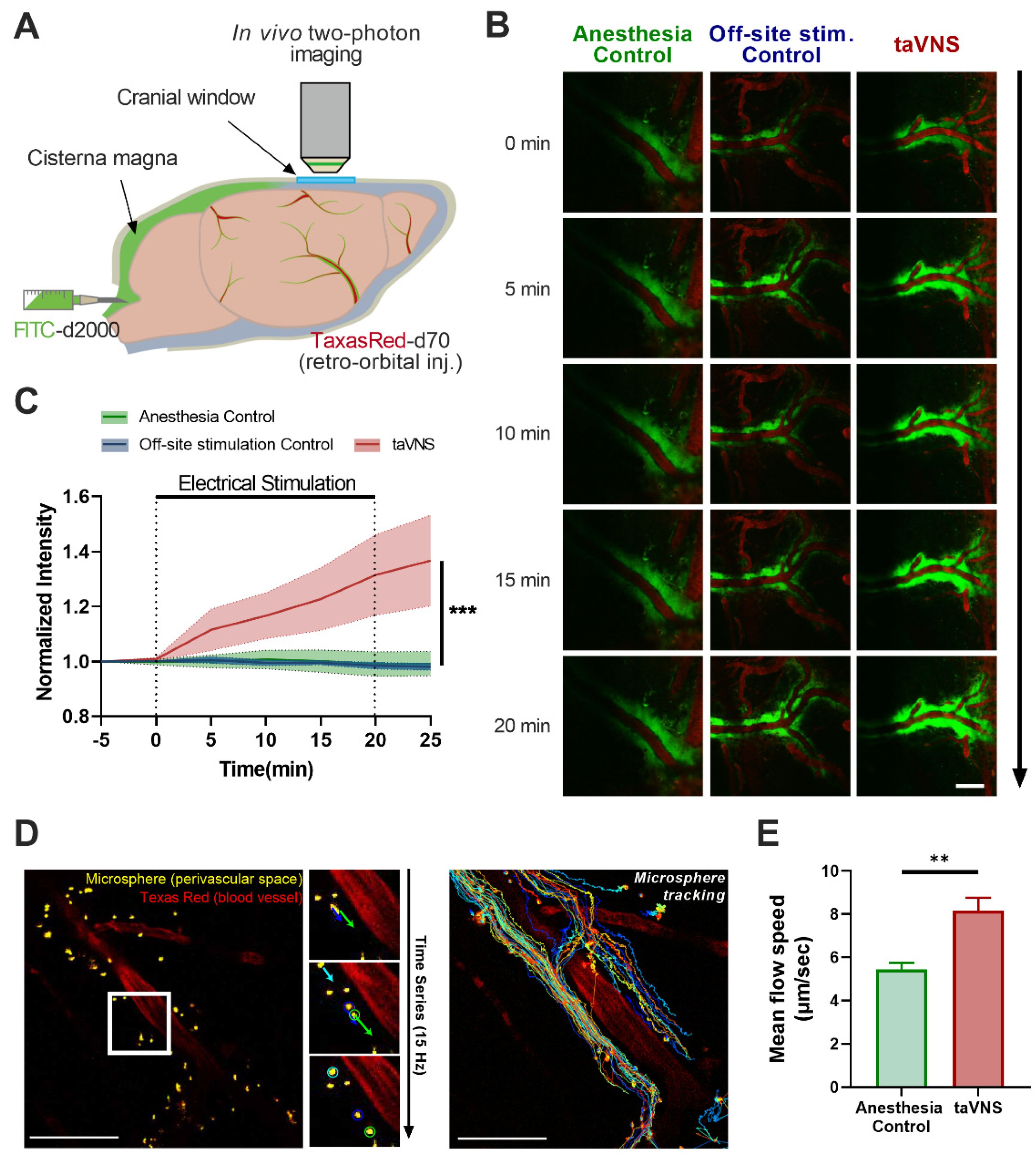 Cells 11 03019 g002 Cells 11 03019 g002