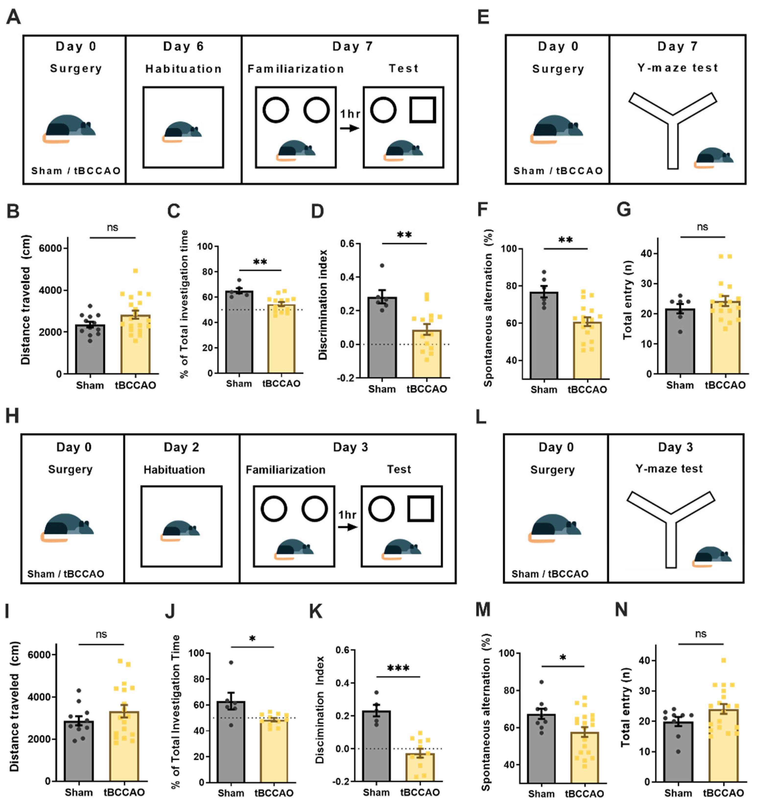 Cells 11 03019 g003 Cells 11 03019 g003