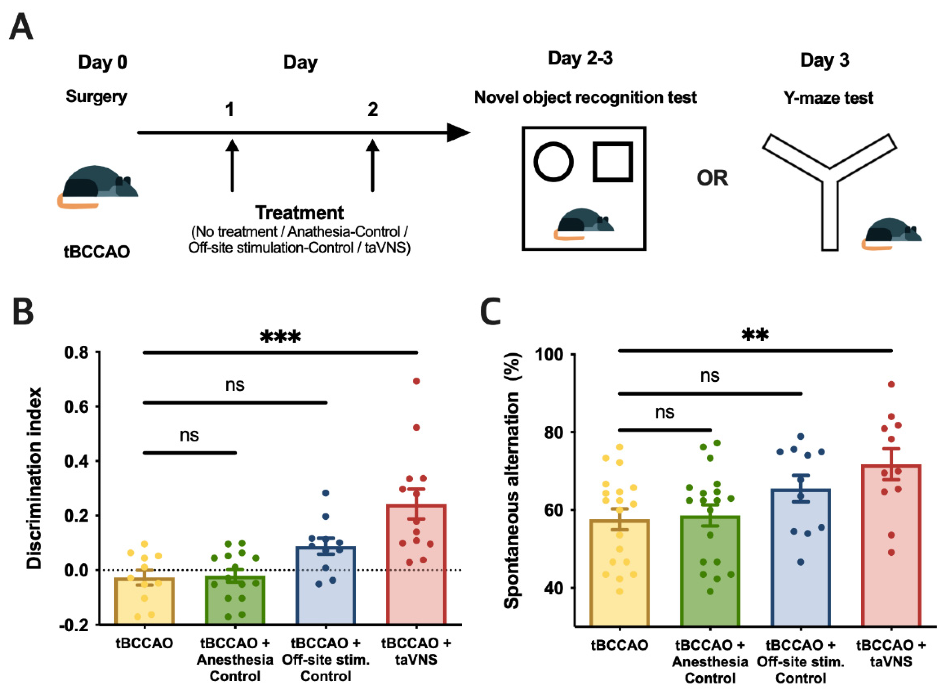 Cells 11 03019 g005 Cells 11 03019 g005