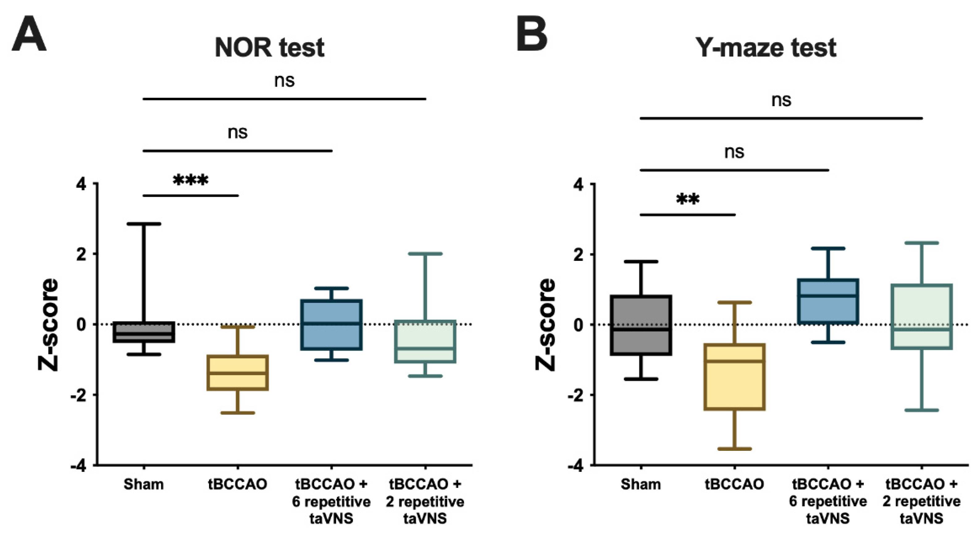 Cells 11 03019 g006 Cells 11 03019 g006