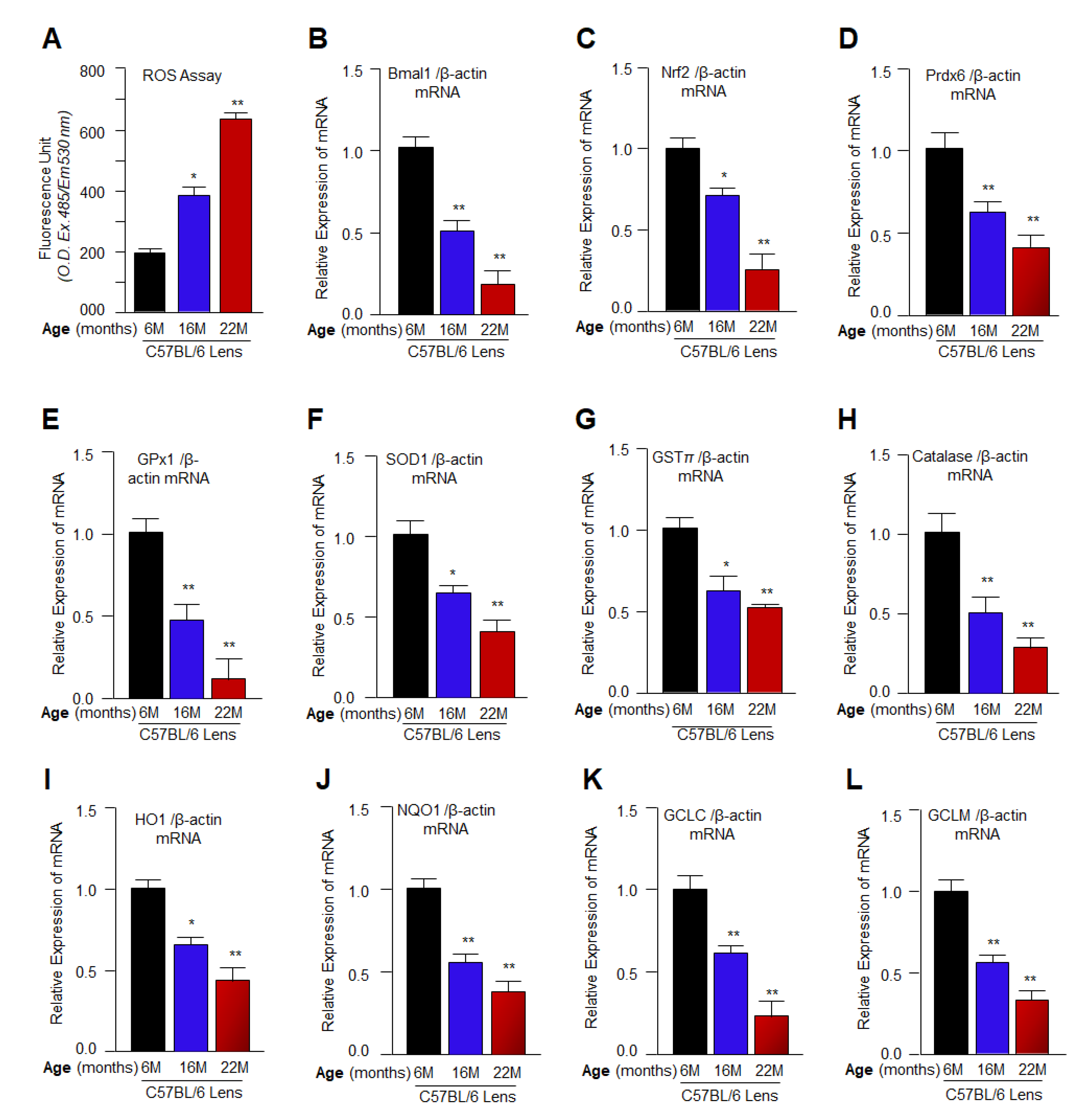 Cells 11 03021 g001 Cells 11 03021 g001