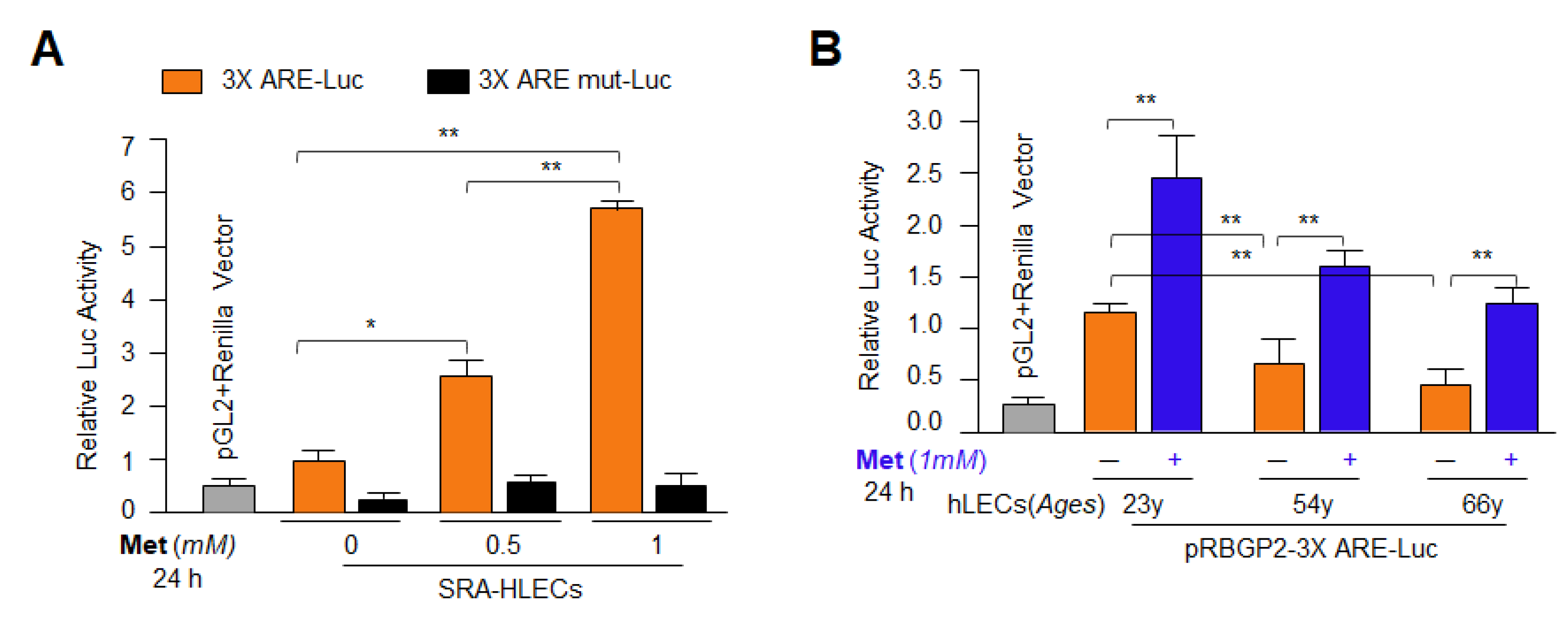 Cells 11 03021 g006 Cells 11 03021 g006