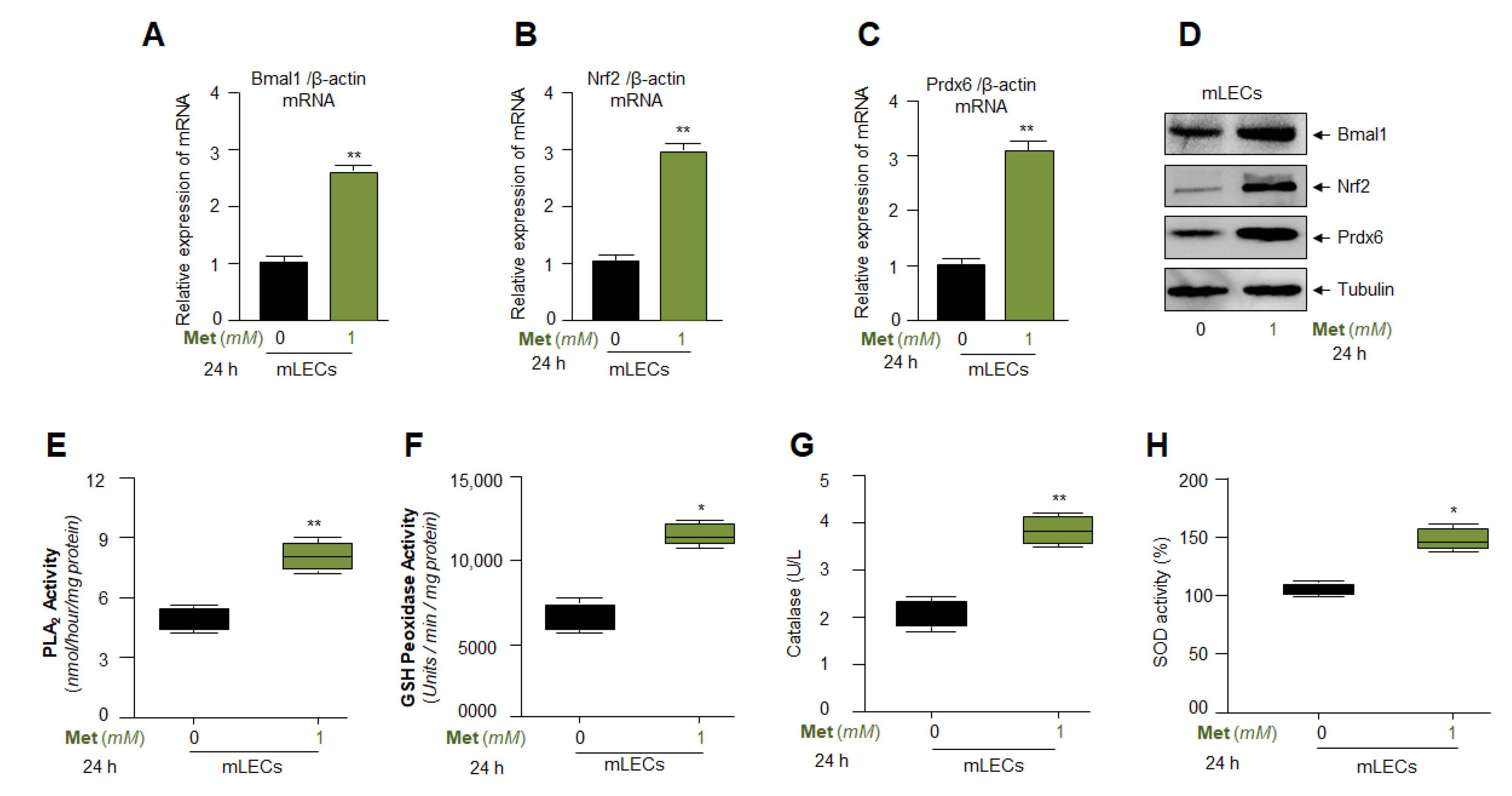 Cells 11 03021 g007 Cells 11 03021 g007