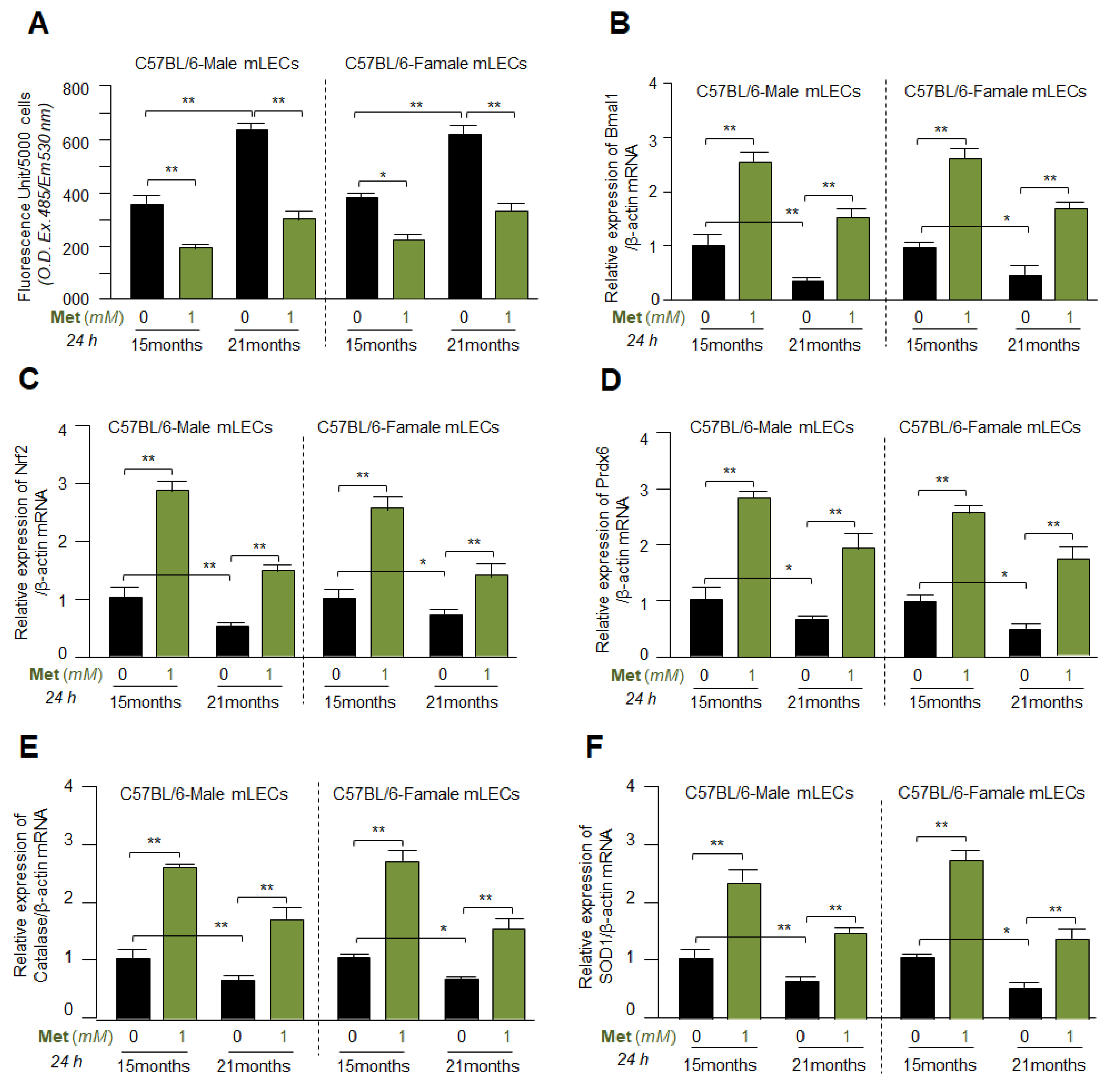 Cells 11 03021 g008 Cells 11 03021 g008