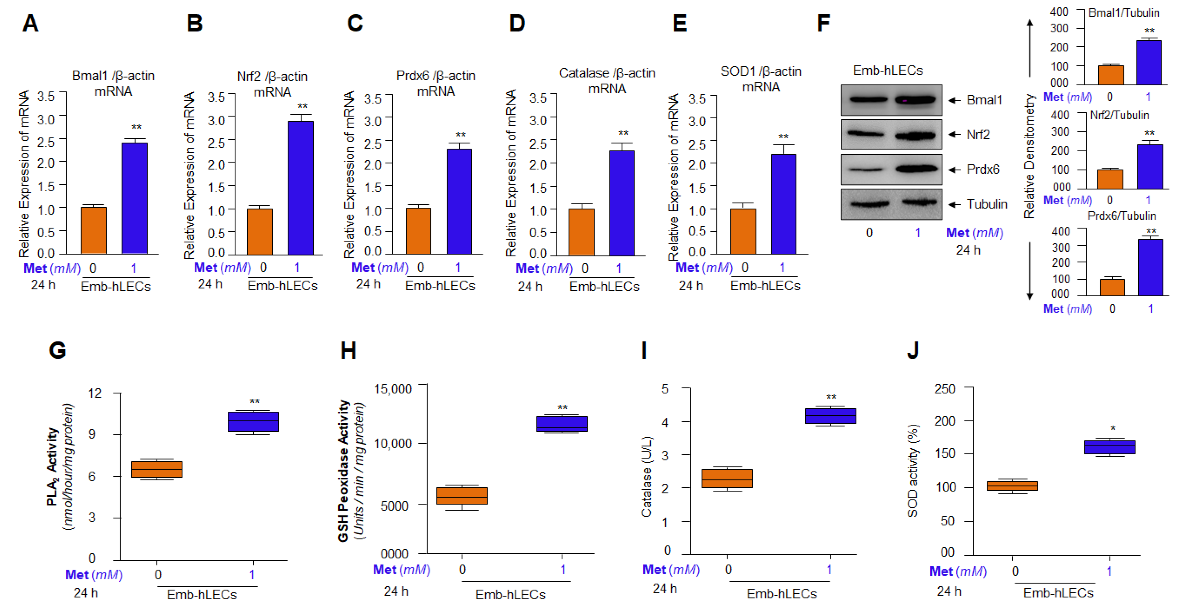 Cells 11 03021 g009 Cells 11 03021 g009