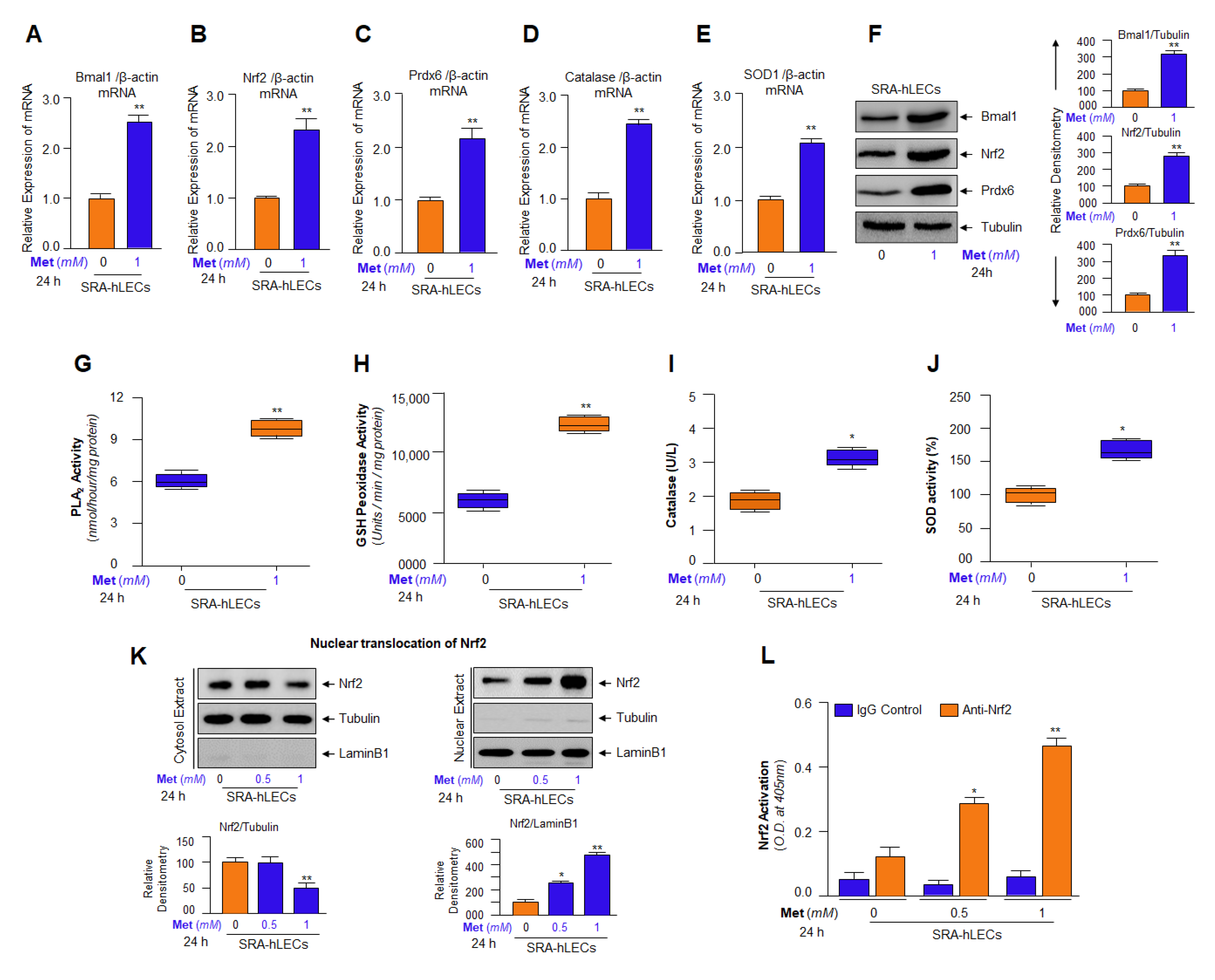 Cells 11 03021 g010 Cells 11 03021 g010