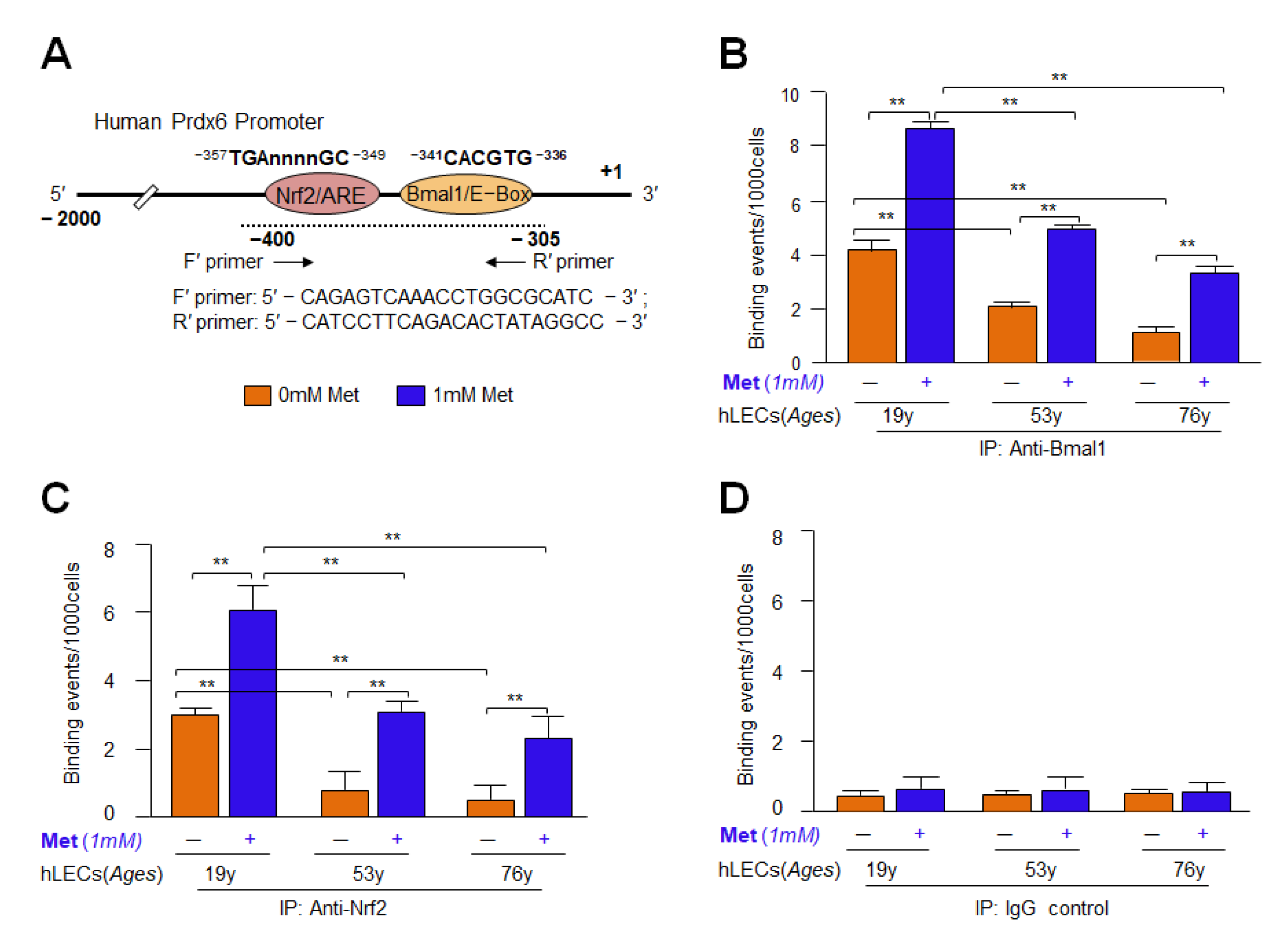 Cells 11 03021 g012 Cells 11 03021 g012