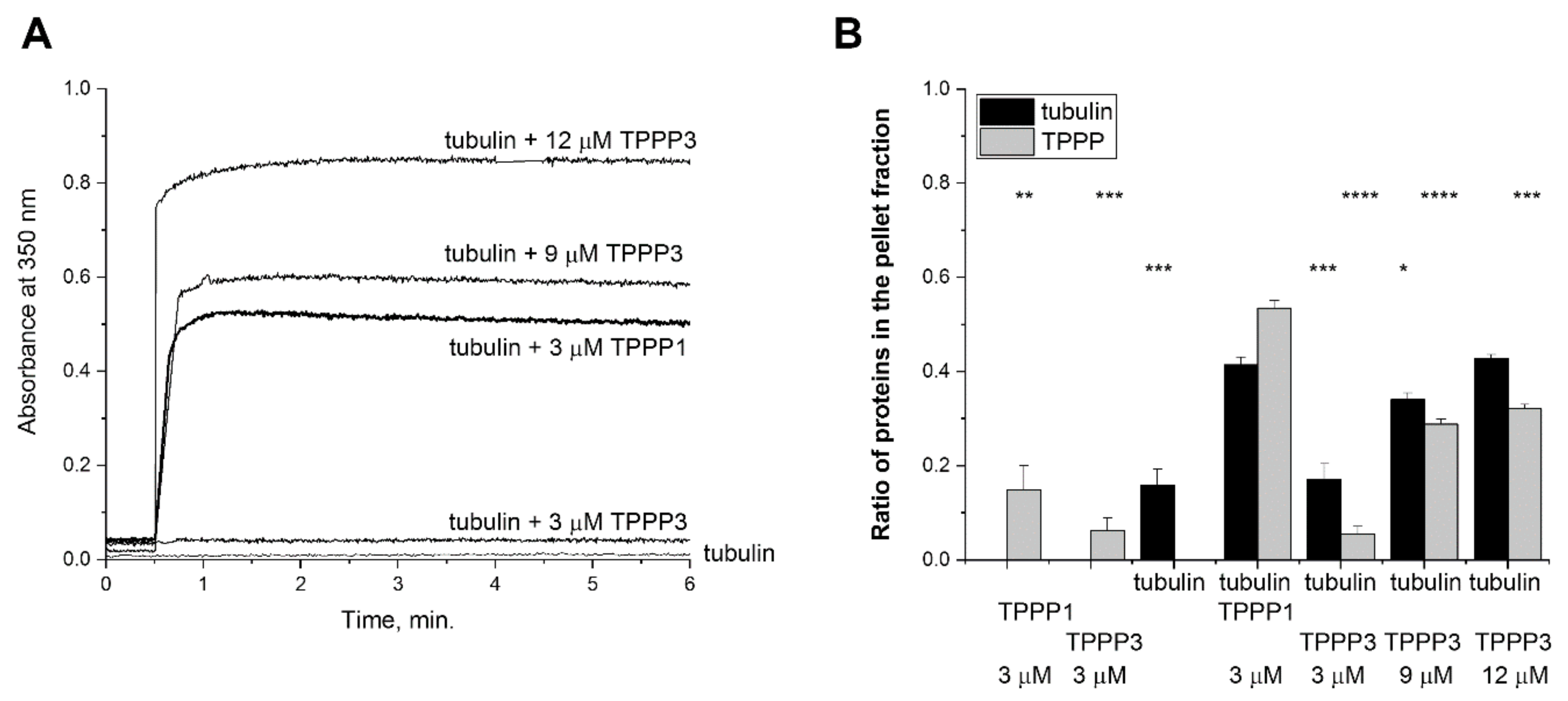 Cells 11 03025 g003 Cells 11 03025 g003
