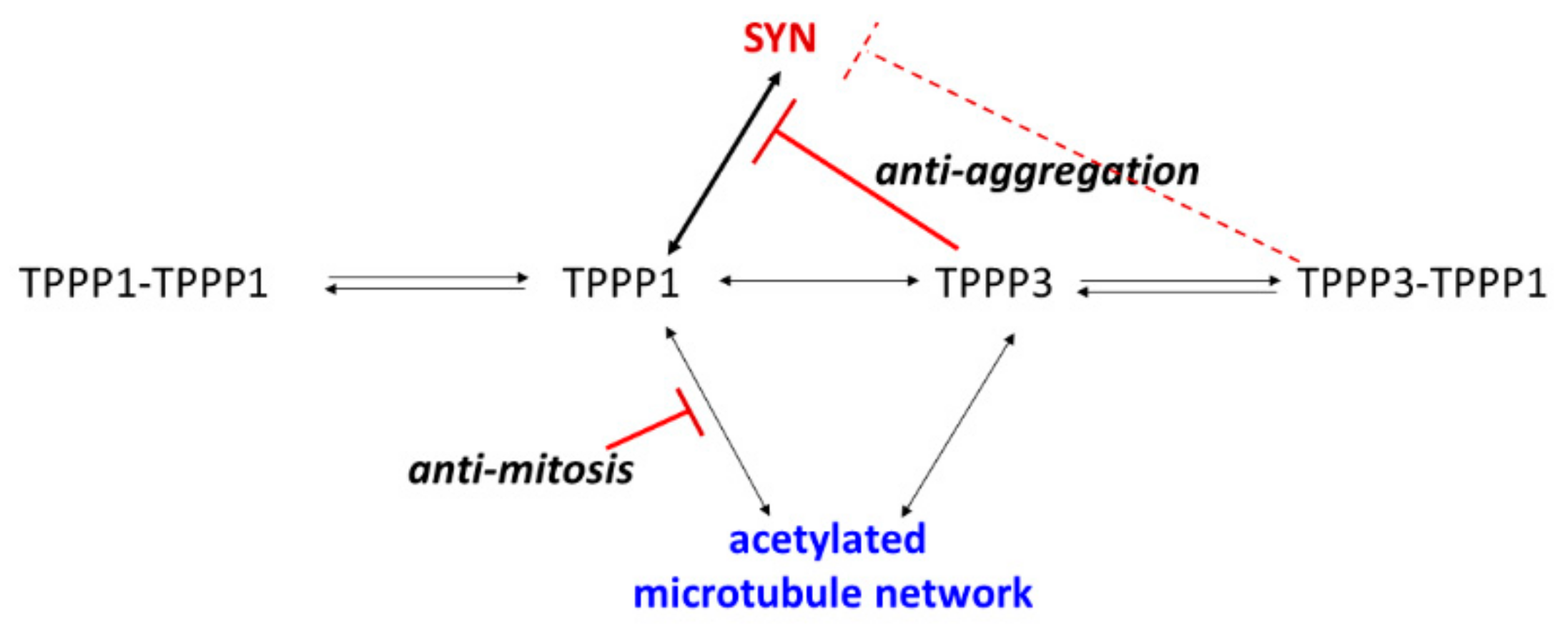 Cells 11 03025 g010 Cells 11 03025 g010