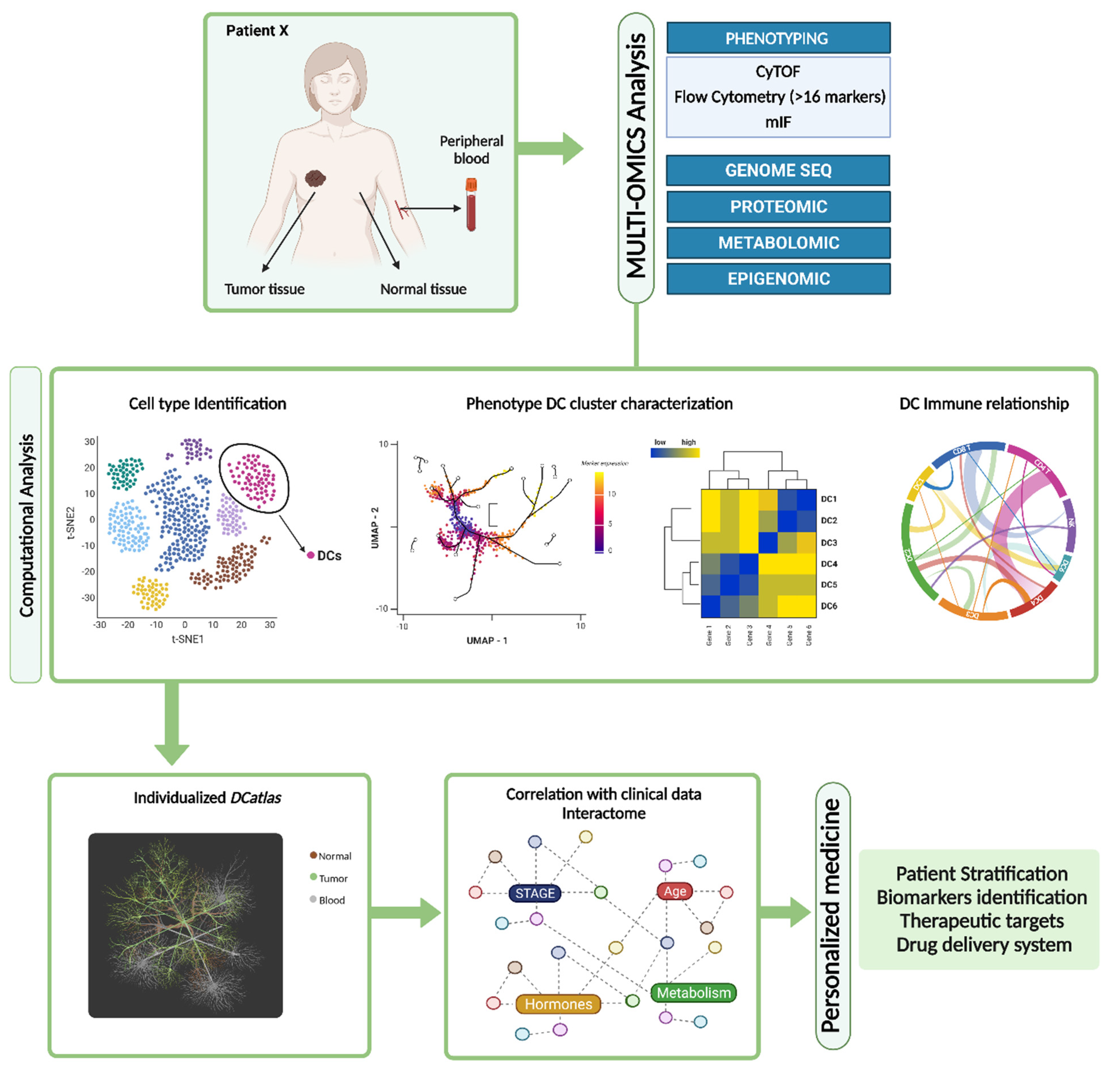 Cells 11 03028 g004 Cells 11 03028 g004
