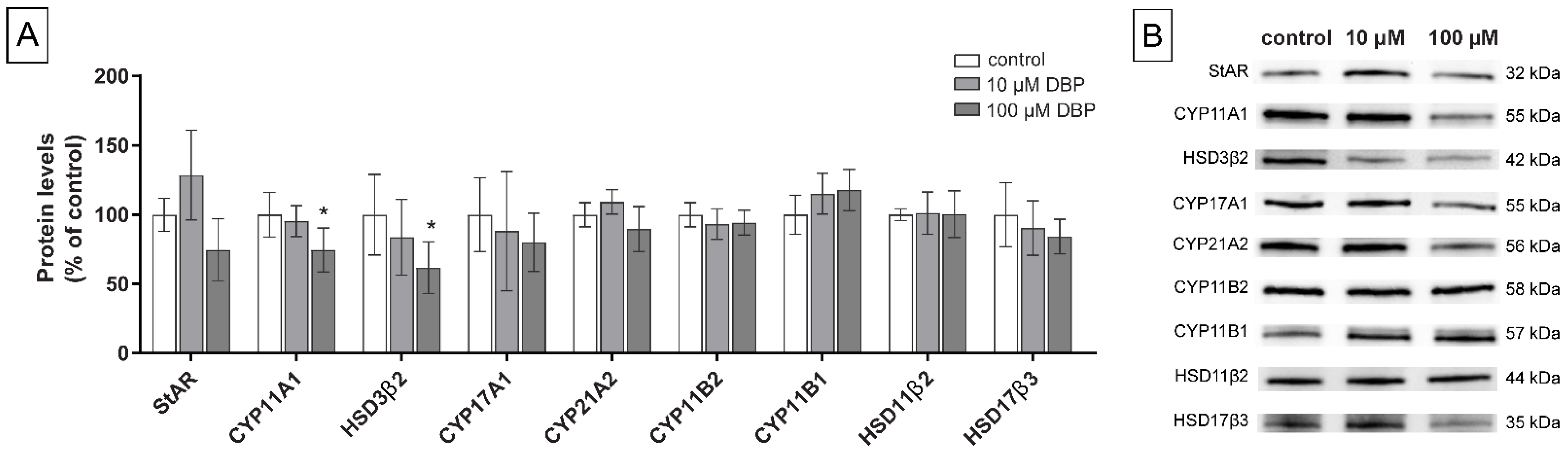 Cells 11 03029 g005 Cells 11 03029 g005