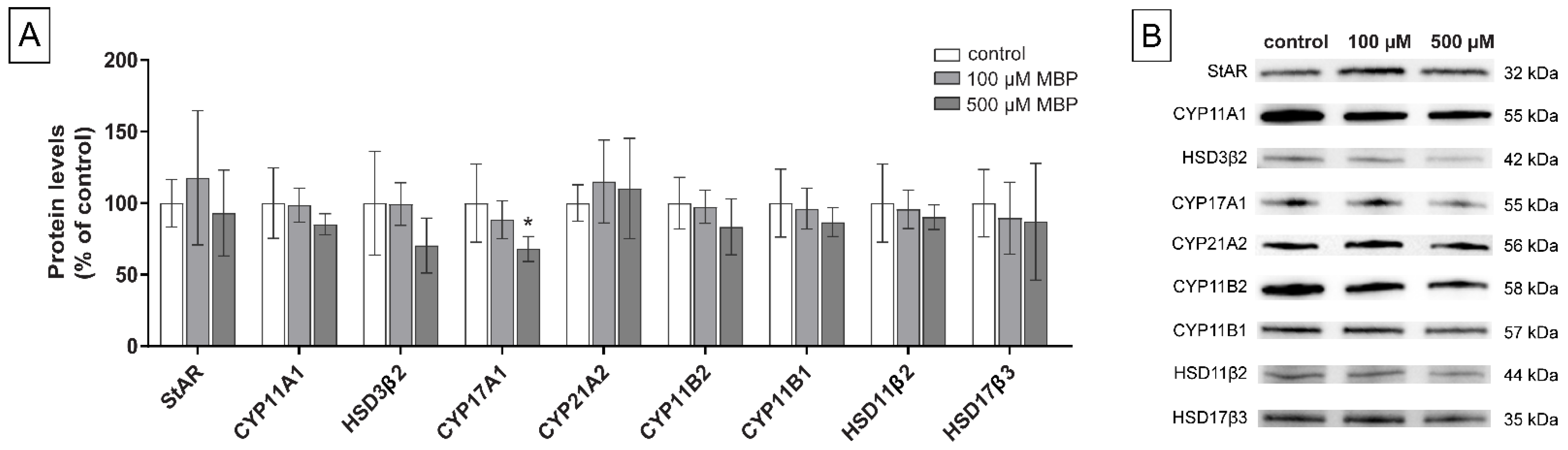 Cells 11 03029 g006 Cells 11 03029 g006