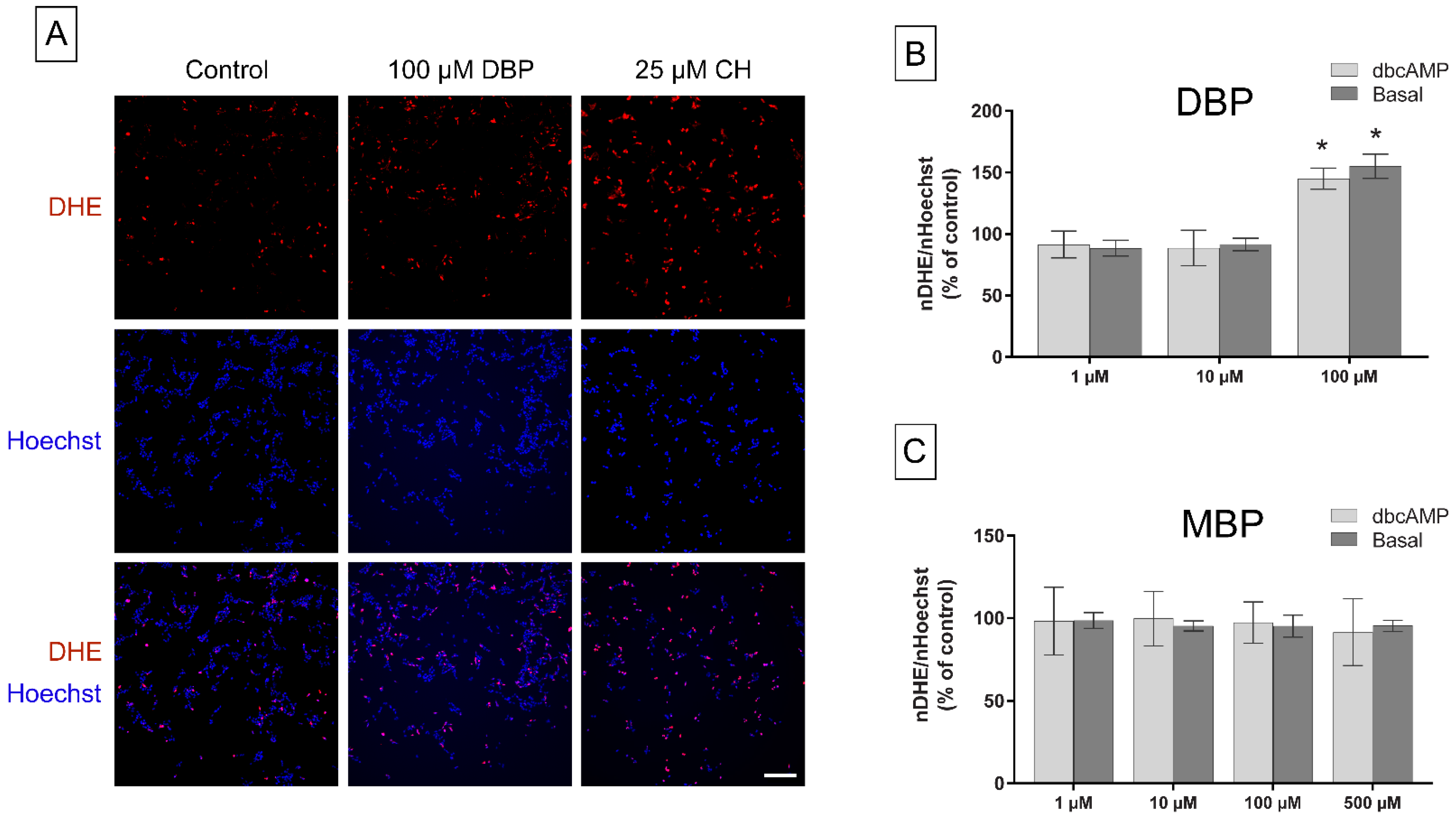 Cells 11 03029 g008 Cells 11 03029 g008