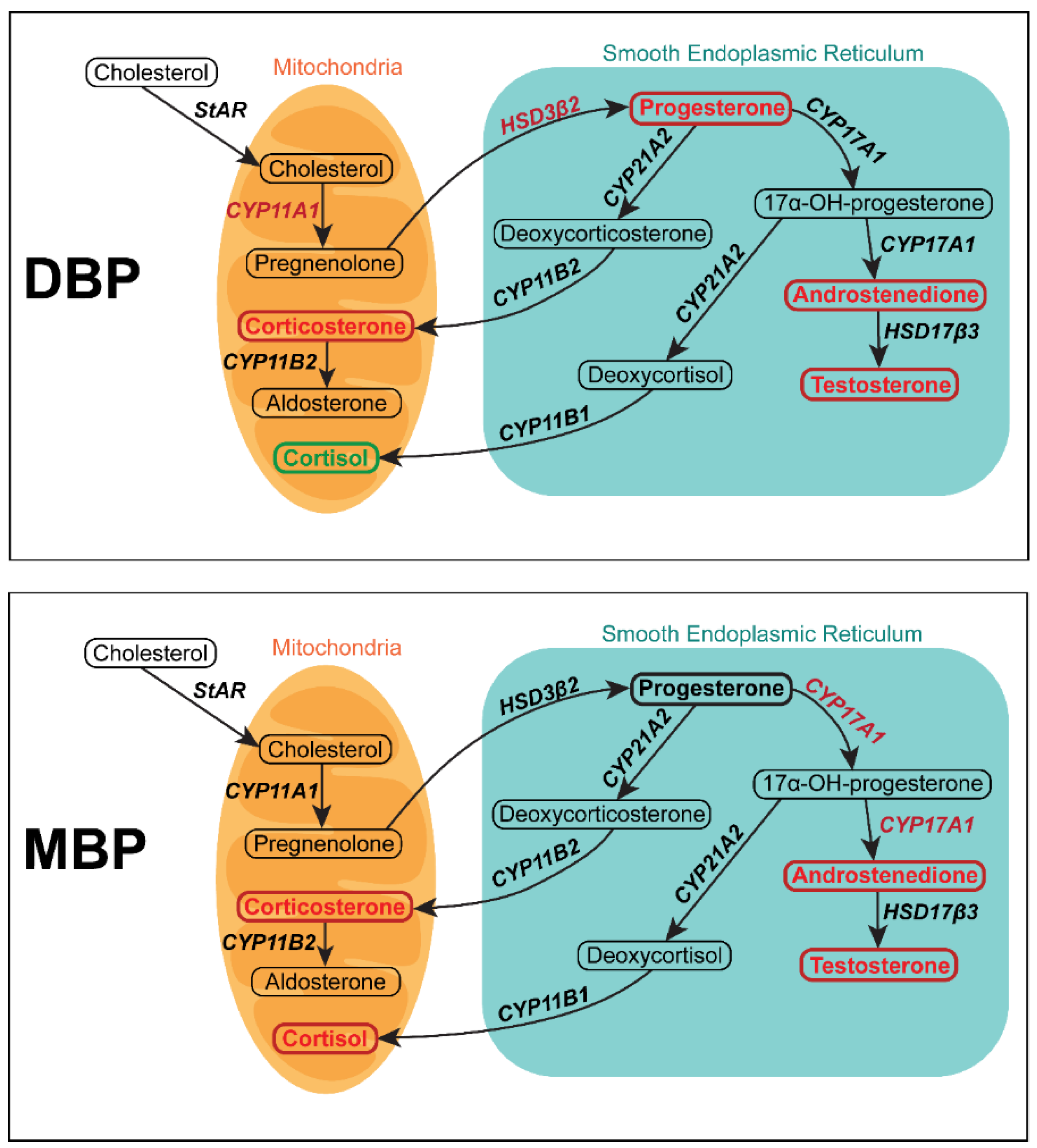 Cells 11 03029 g009 Cells 11 03029 g009