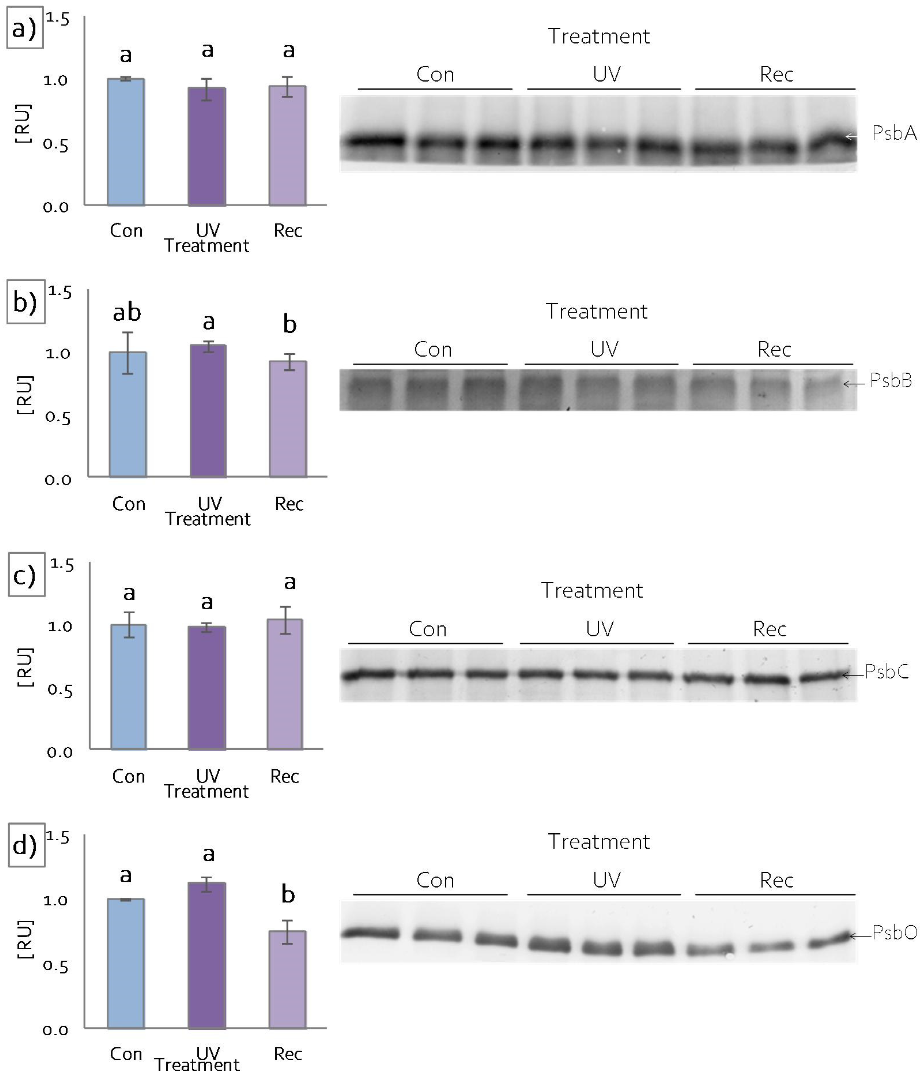 Cells 11 03030 g004 Cells 11 03030 g004