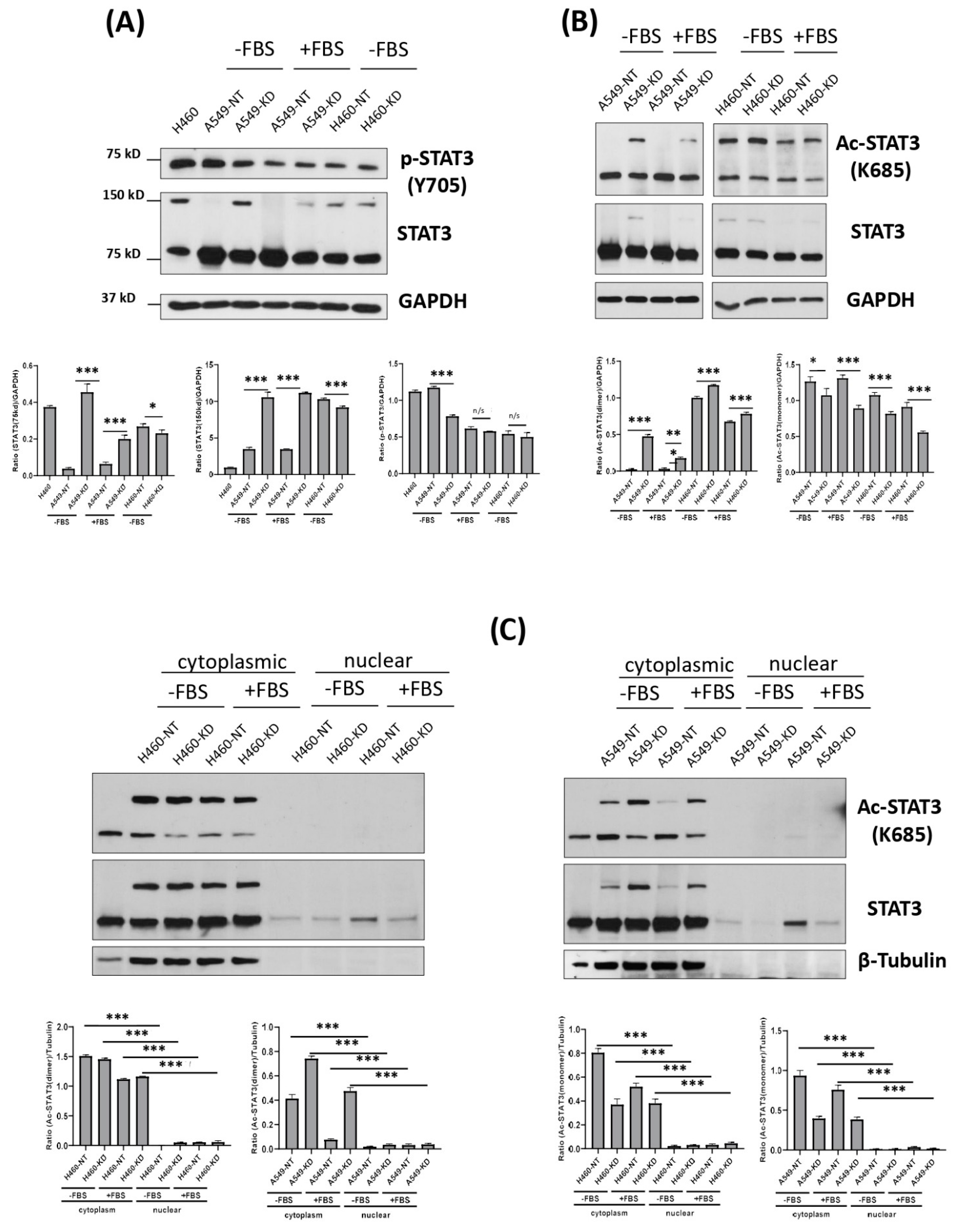 Cells 11 03036 g003a