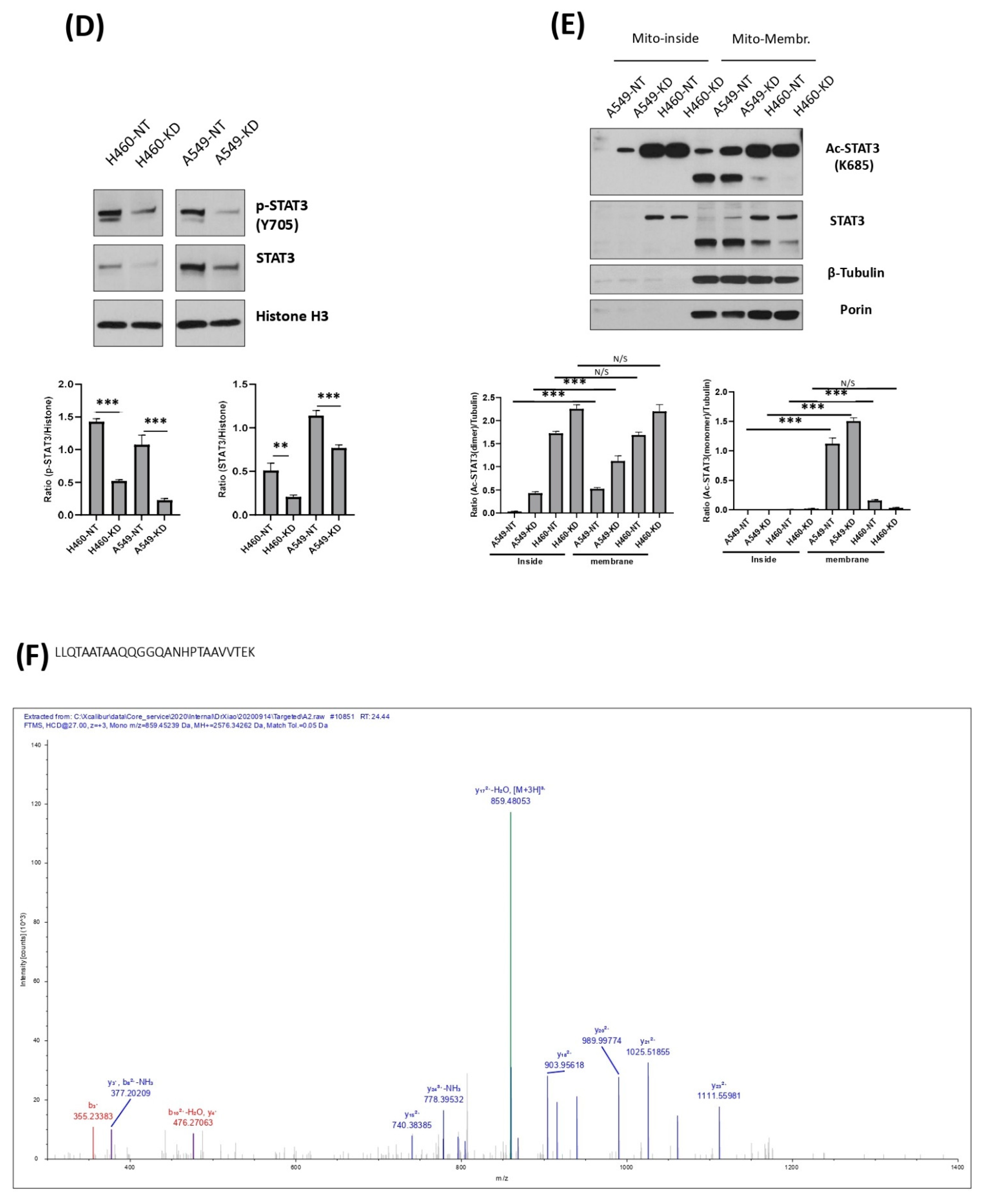 Cells 11 03036 g003b