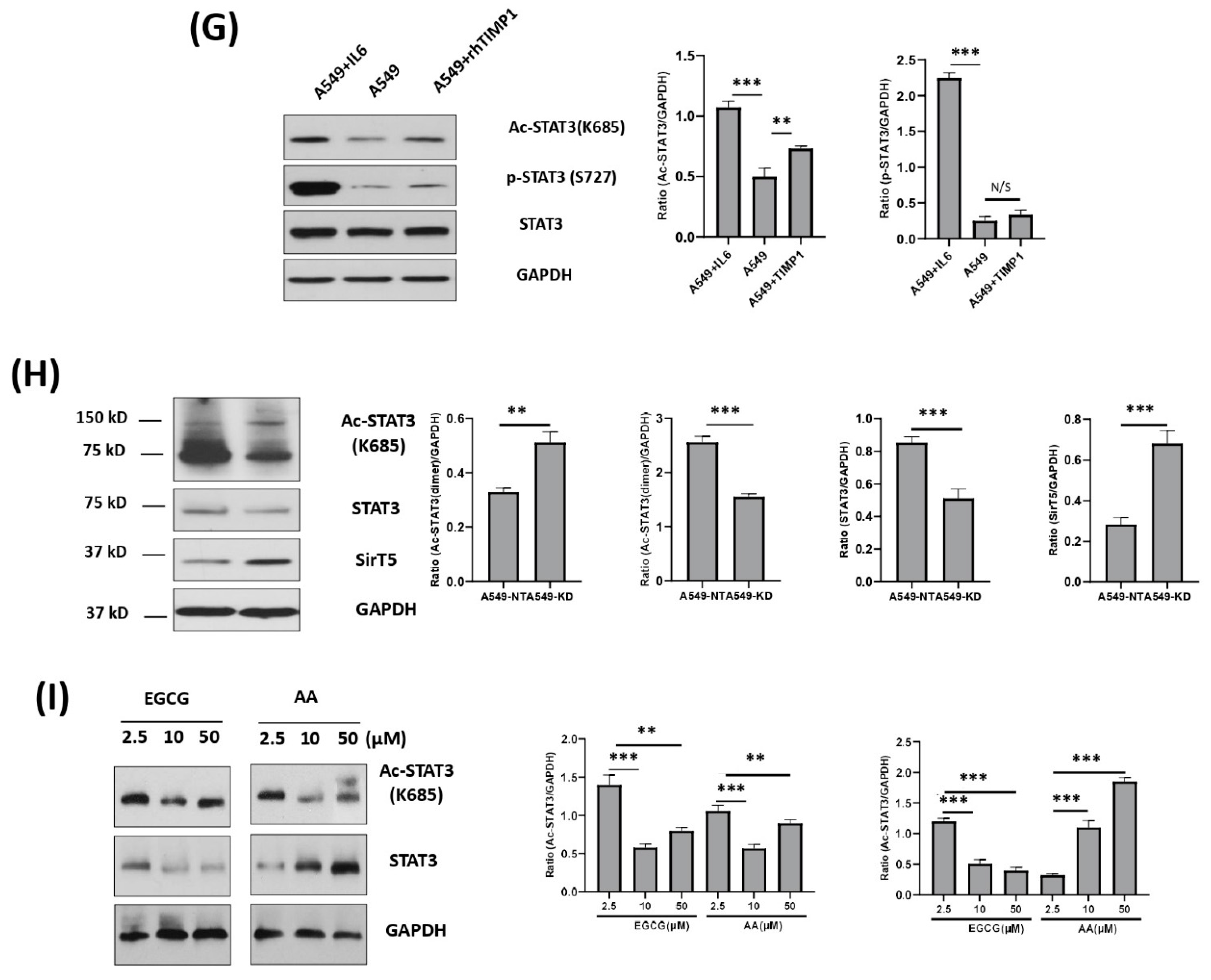 Cells 11 03036 g003c