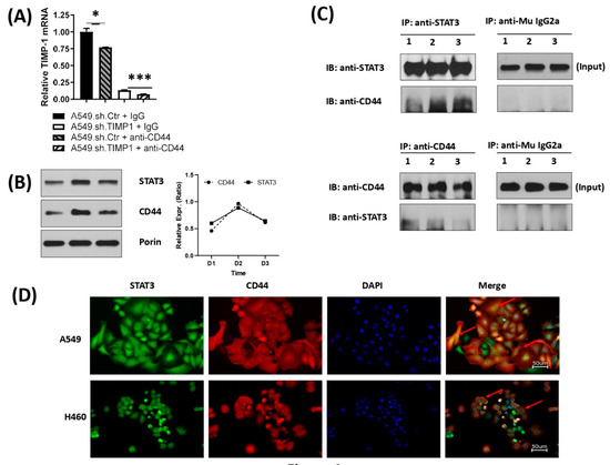 TIMP-1 Dependent Modulation of Metabolic Profiles Impacts