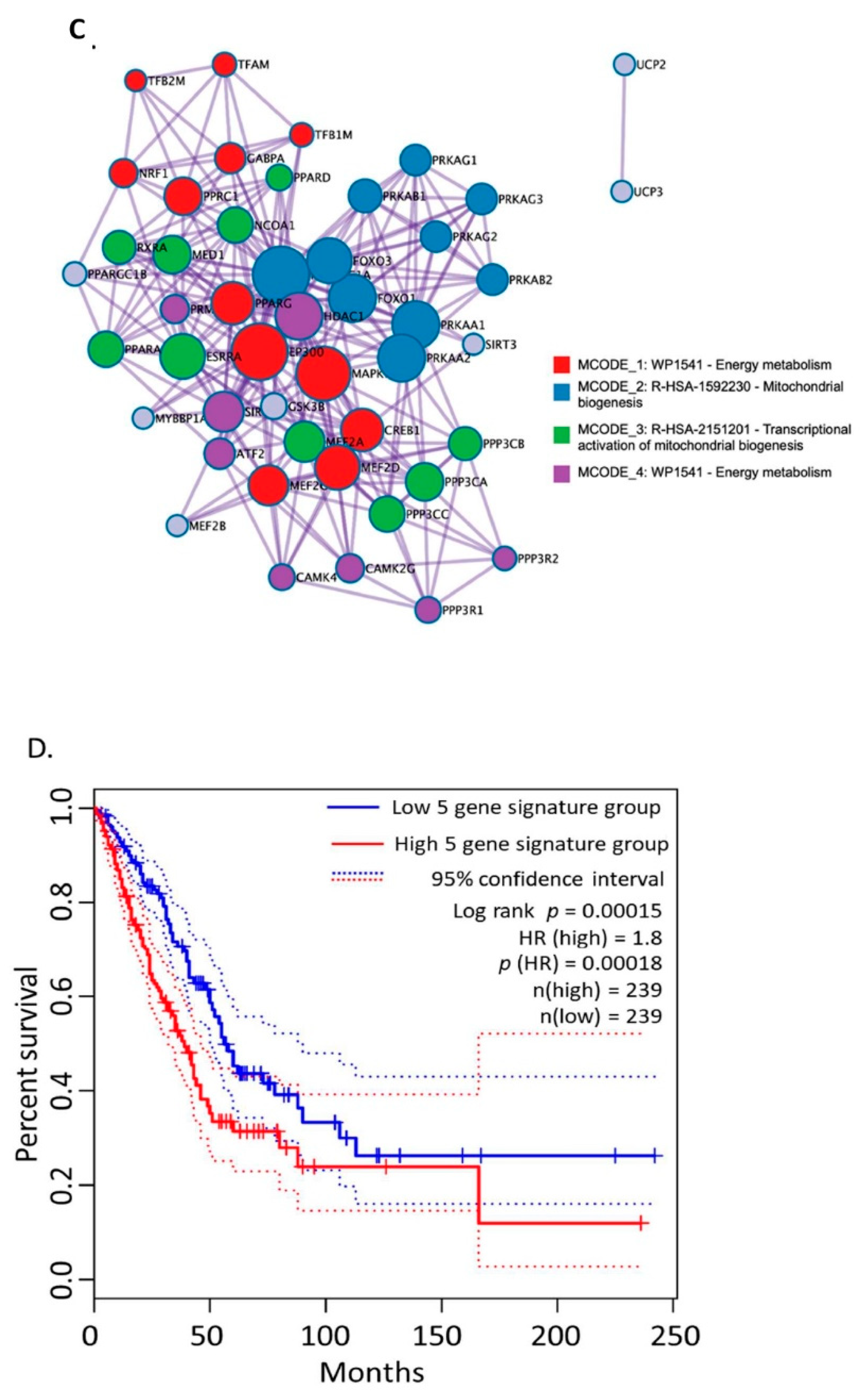 Cells 11 03036 g007b