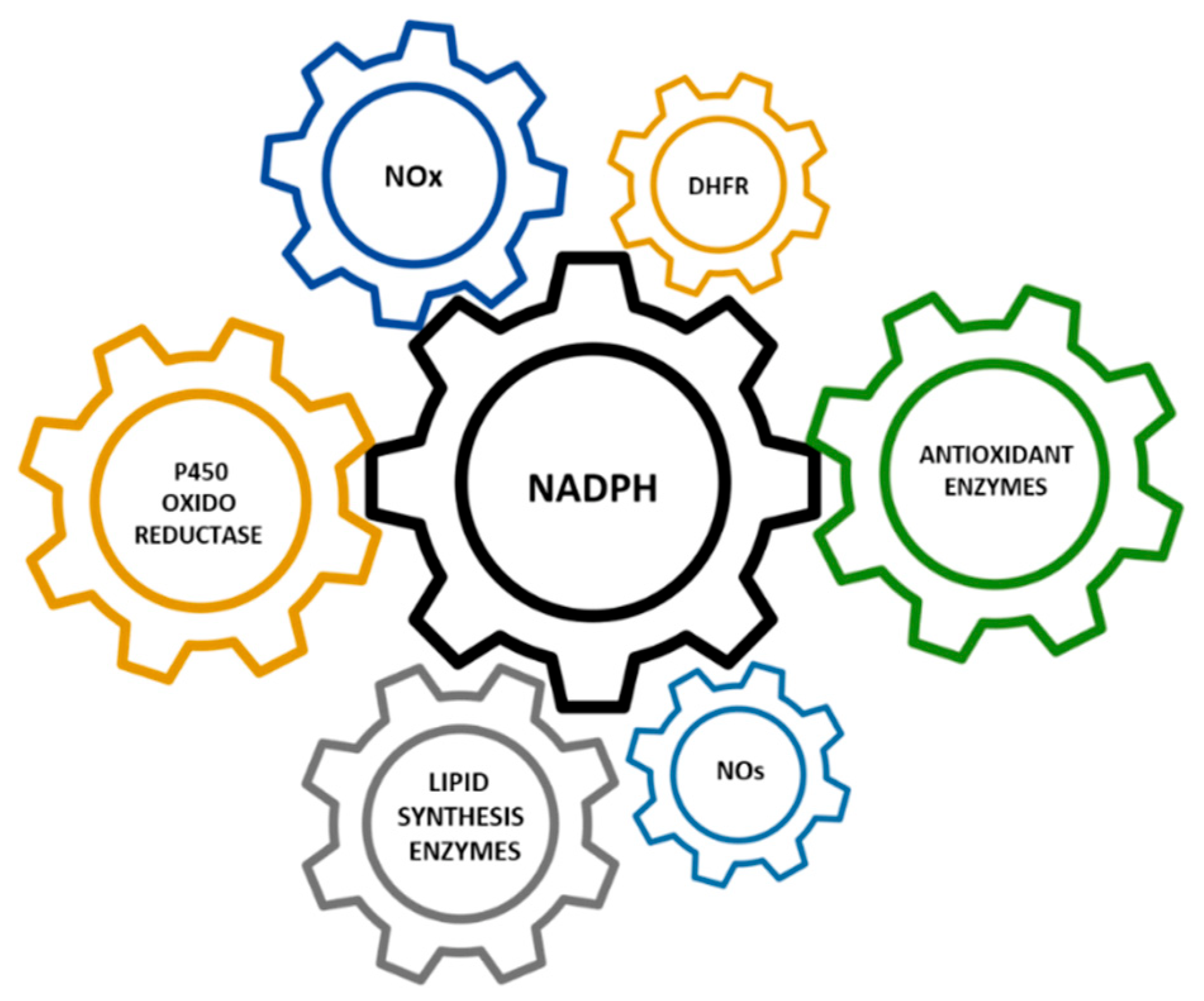 Cells 11 03041 g002 Cells 11 03041 g002