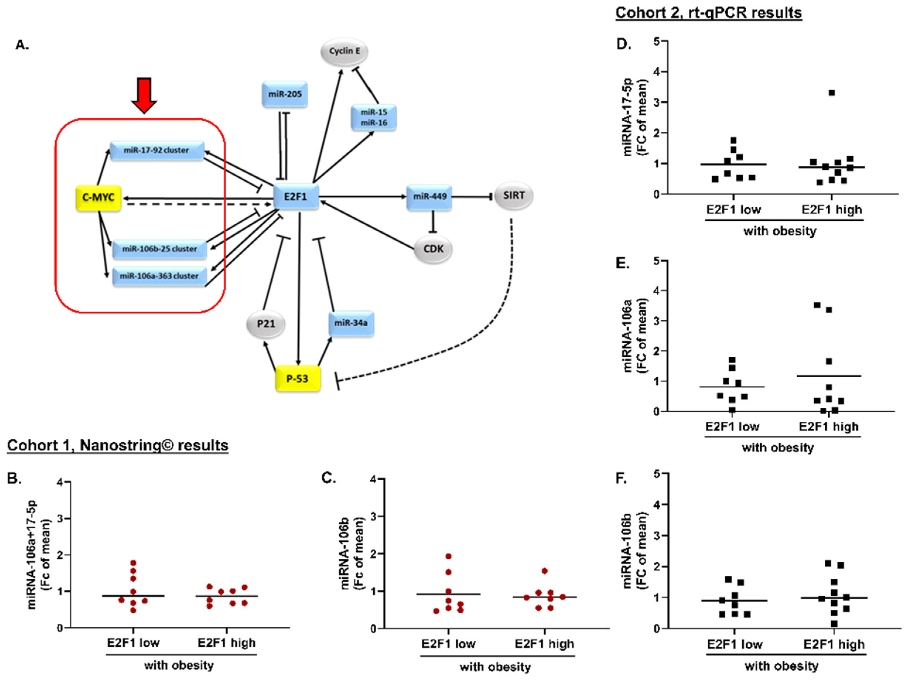 Cells 11 03046 g003 Cells 11 03046 g003