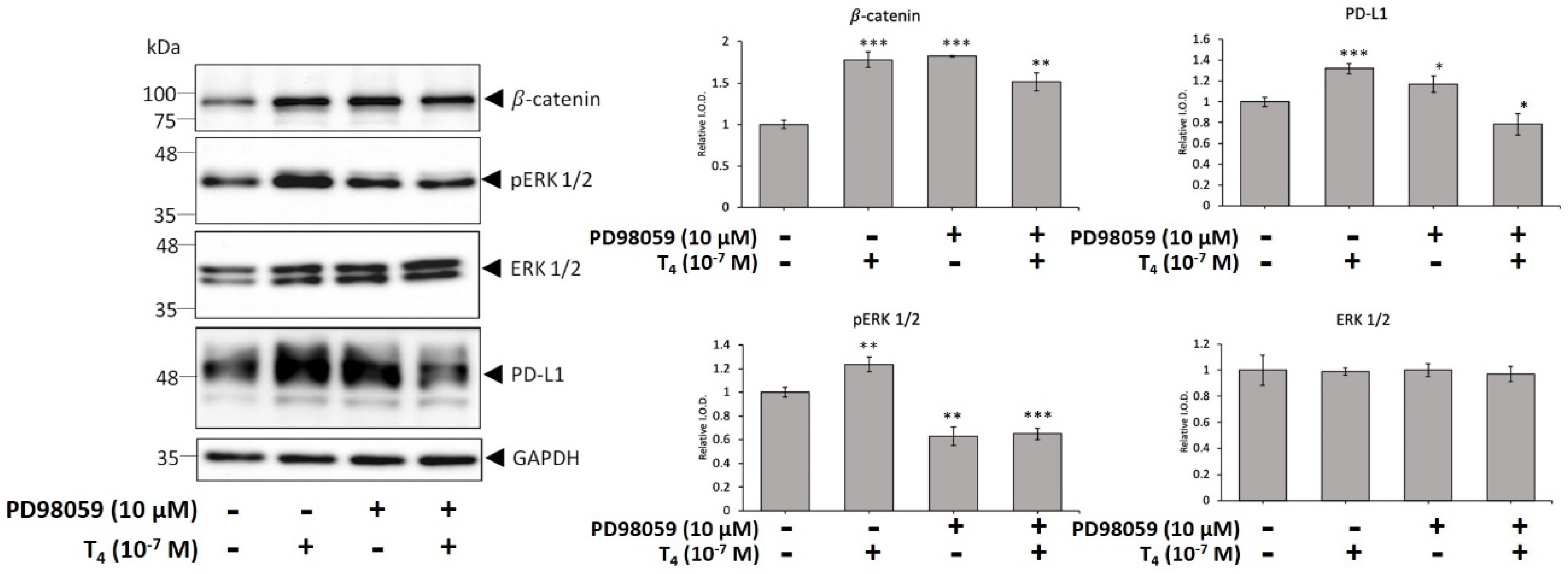 Cells 11 03050 g002 Cells 11 03050 g002