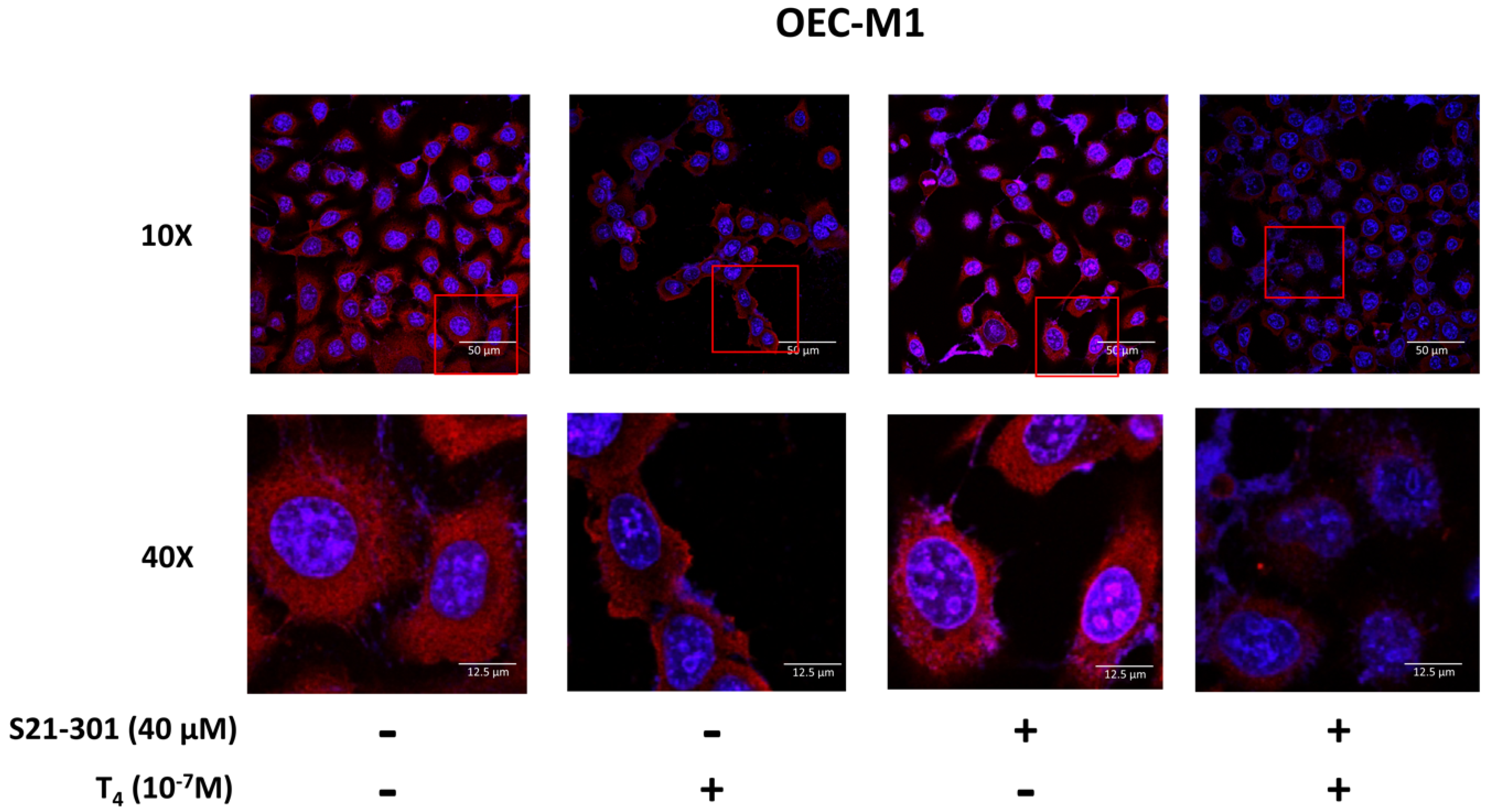 Cells 11 03050 g003 Cells 11 03050 g003