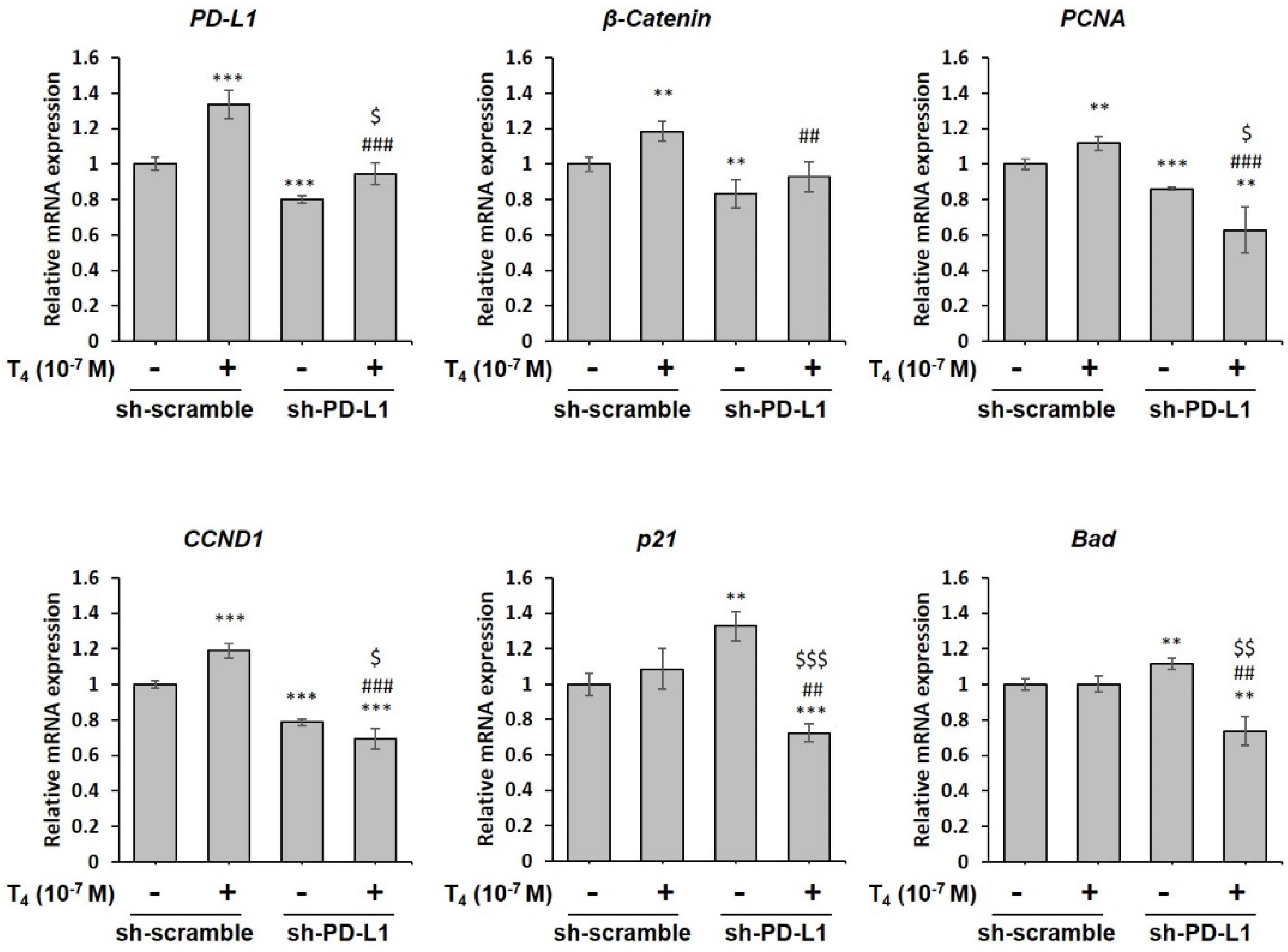 Cells 11 03050 g006 Cells 11 03050 g006