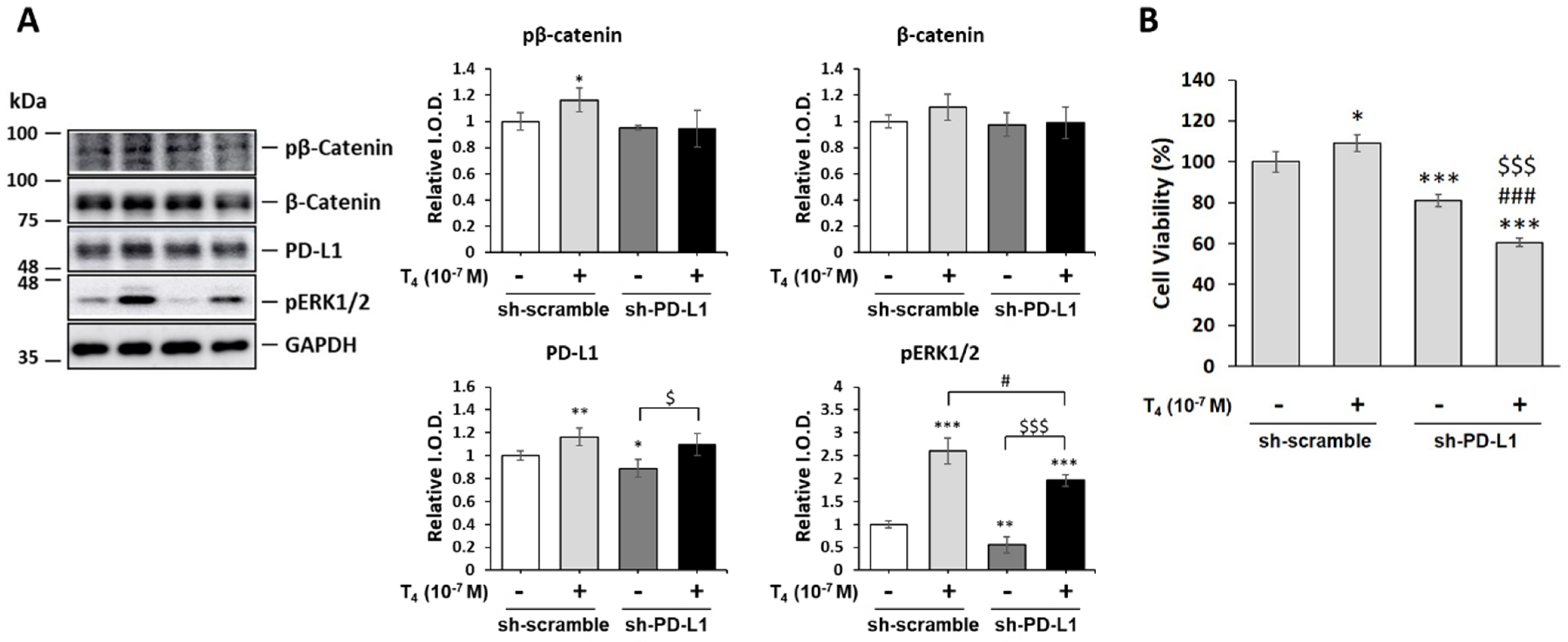 Cells 11 03050 g007 Cells 11 03050 g007