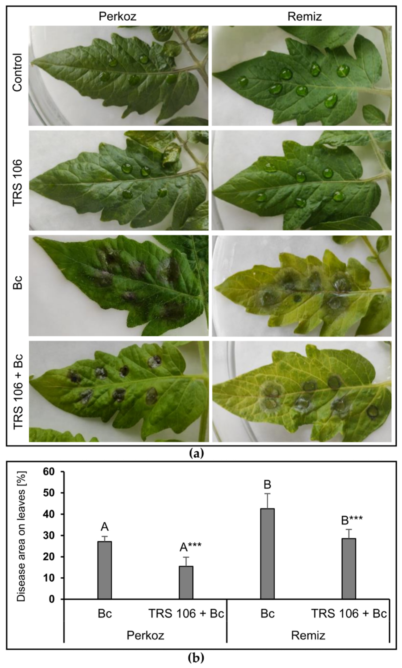 Cells 11 03051 g002 Cells 11 03051 g002