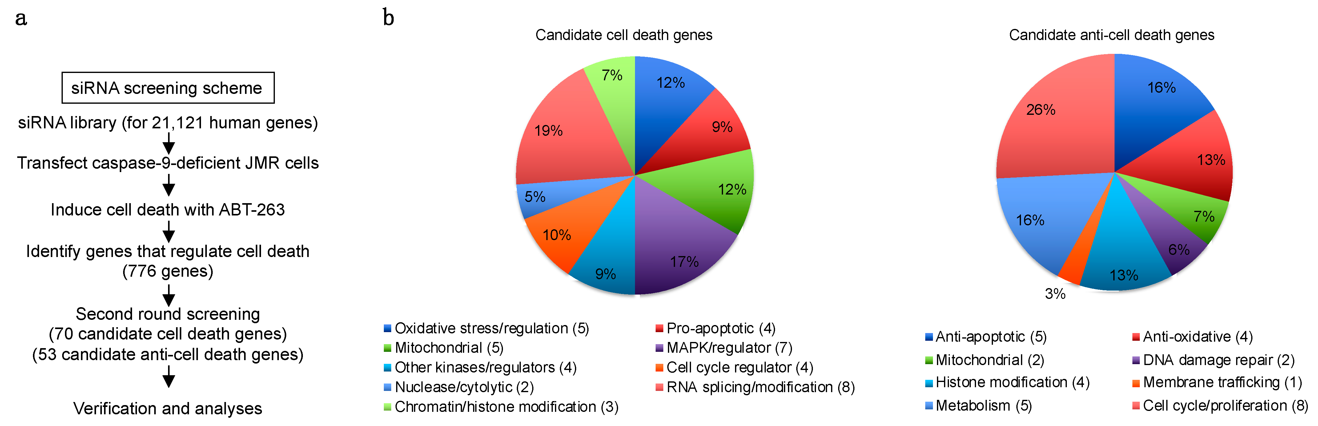 Cells 11 03053 g002 Cells 11 03053 g002