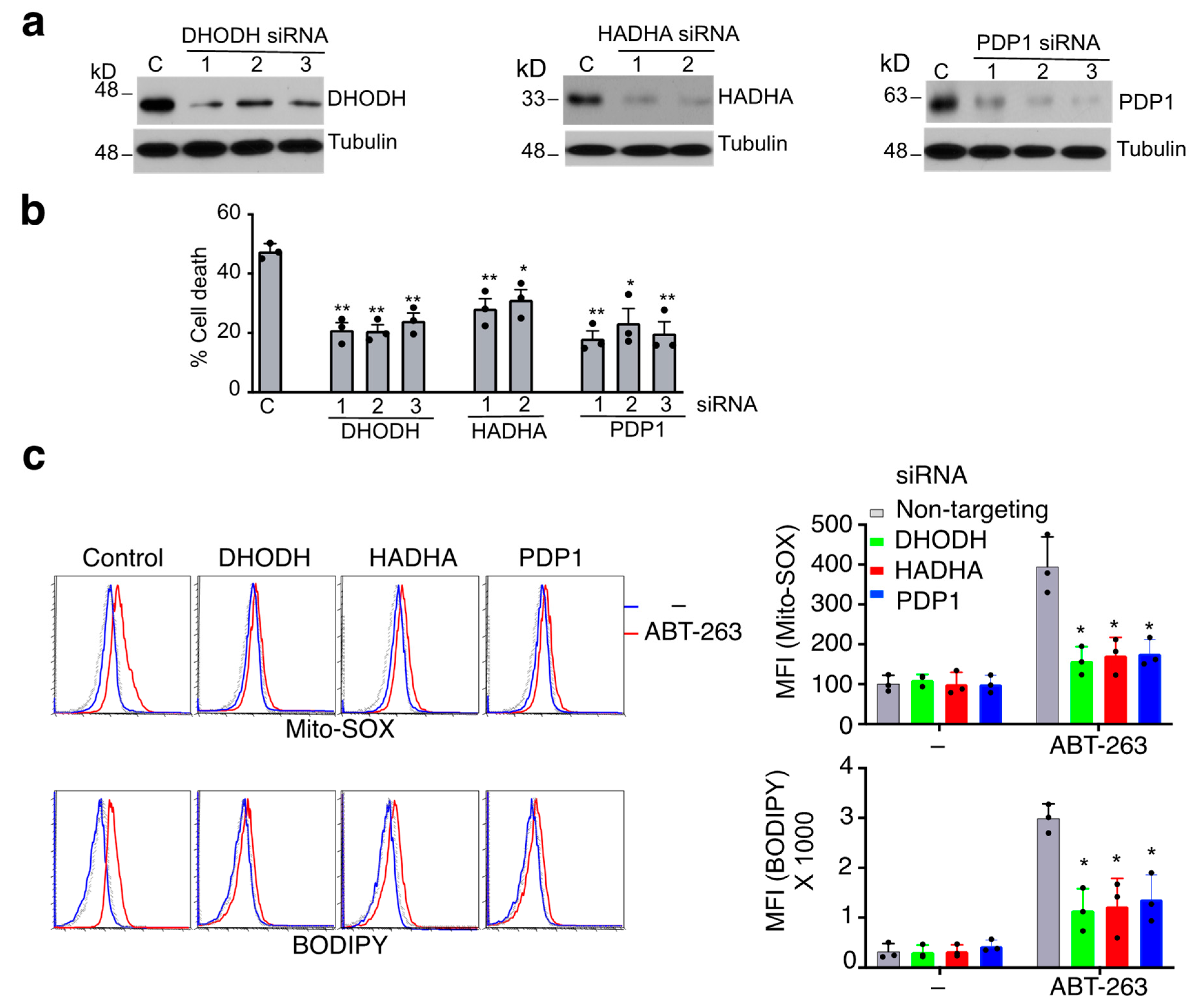 Cells 11 03053 g003 Cells 11 03053 g003