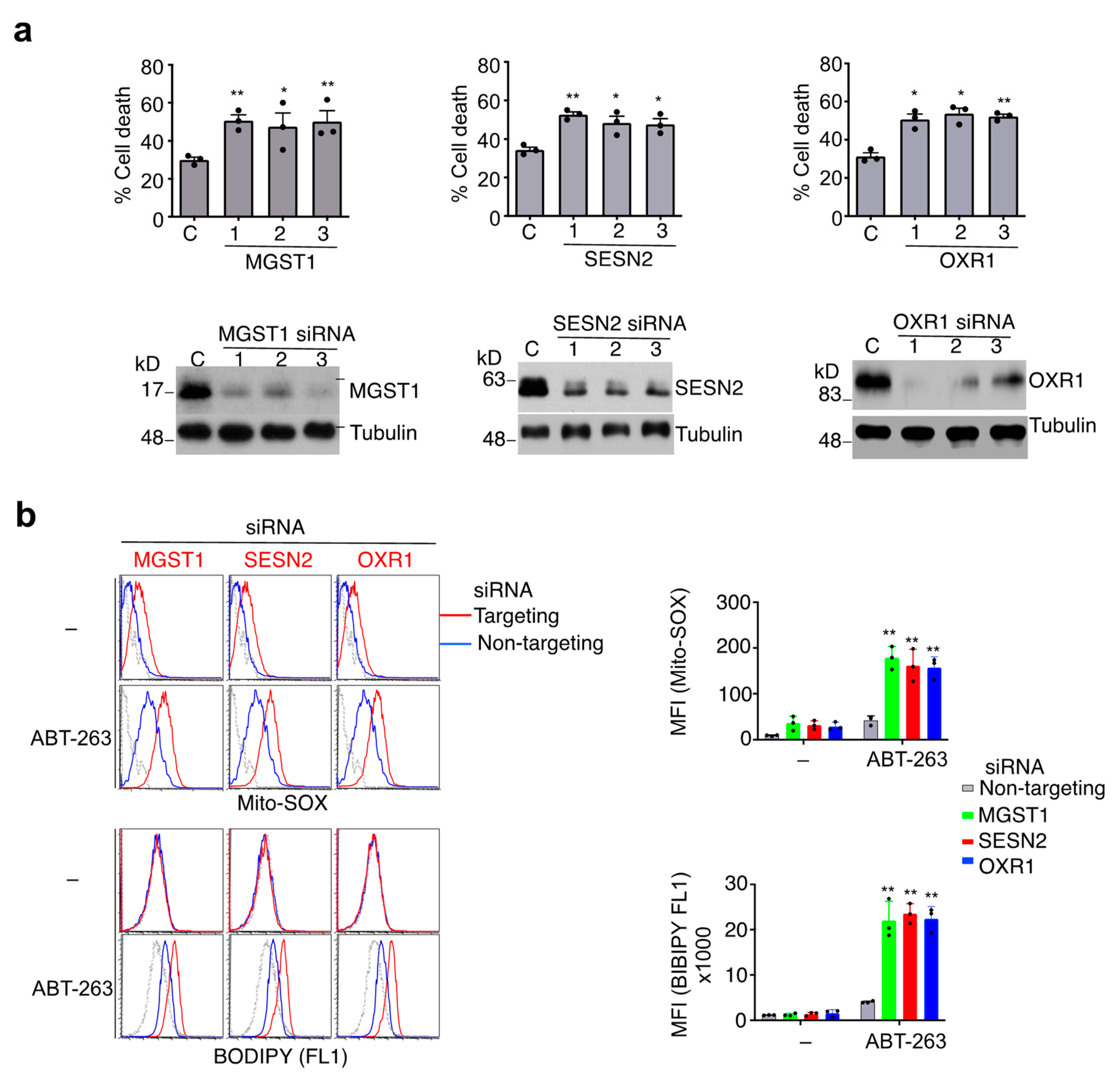Cells 11 03053 g004 Cells 11 03053 g004