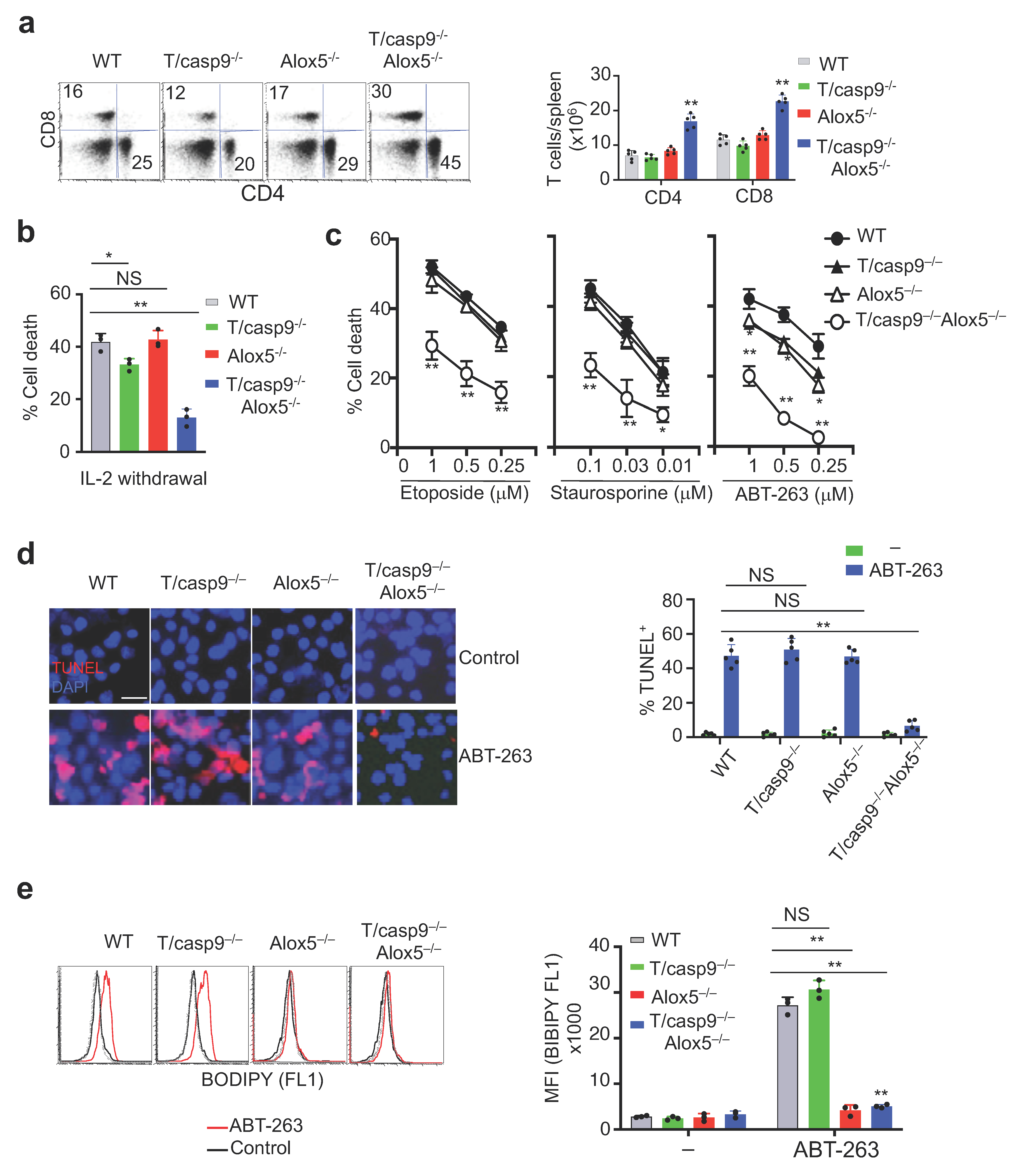 Cells 11 03053 g008 Cells 11 03053 g008