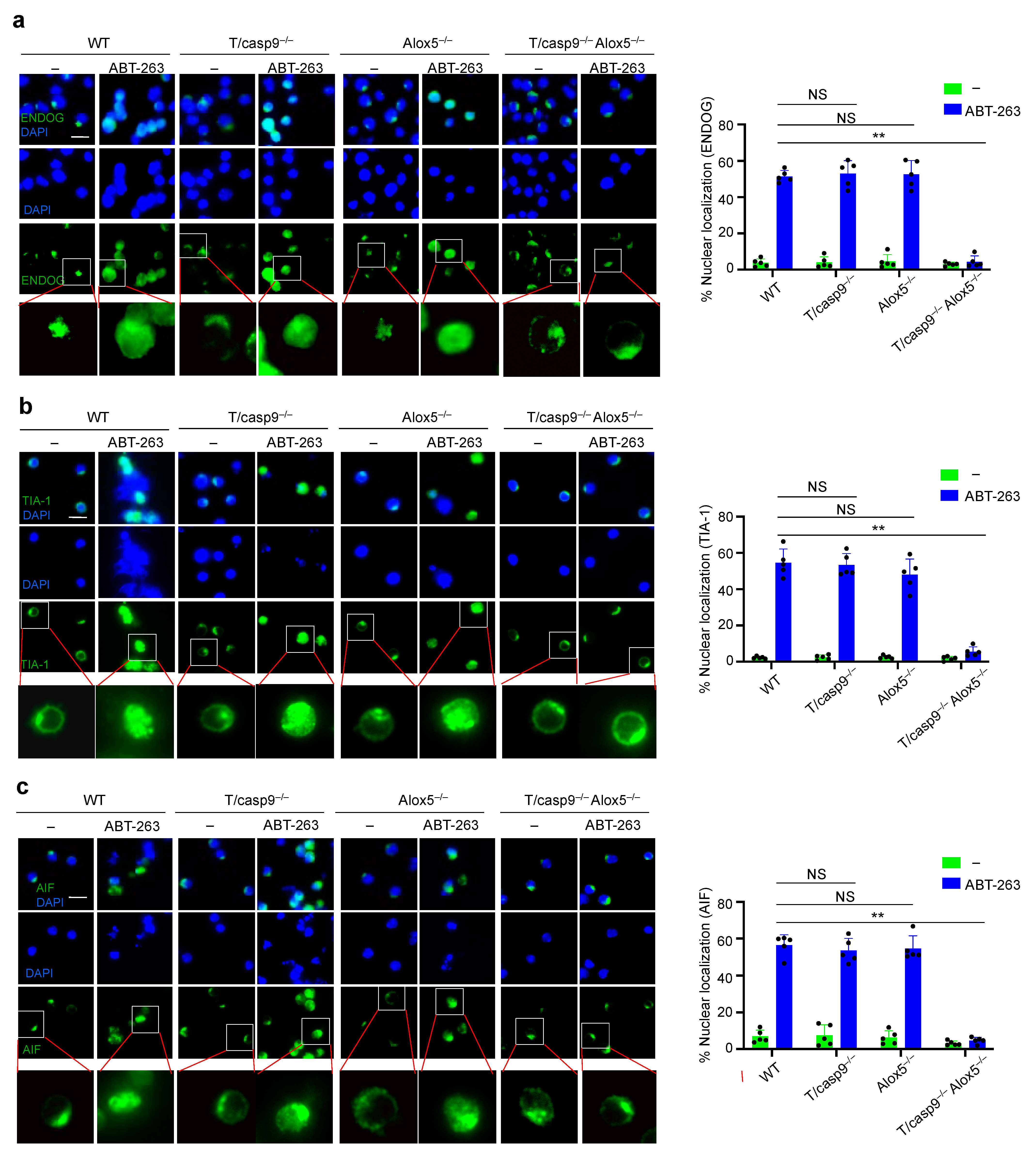 Cells 11 03053 g009 Cells 11 03053 g009