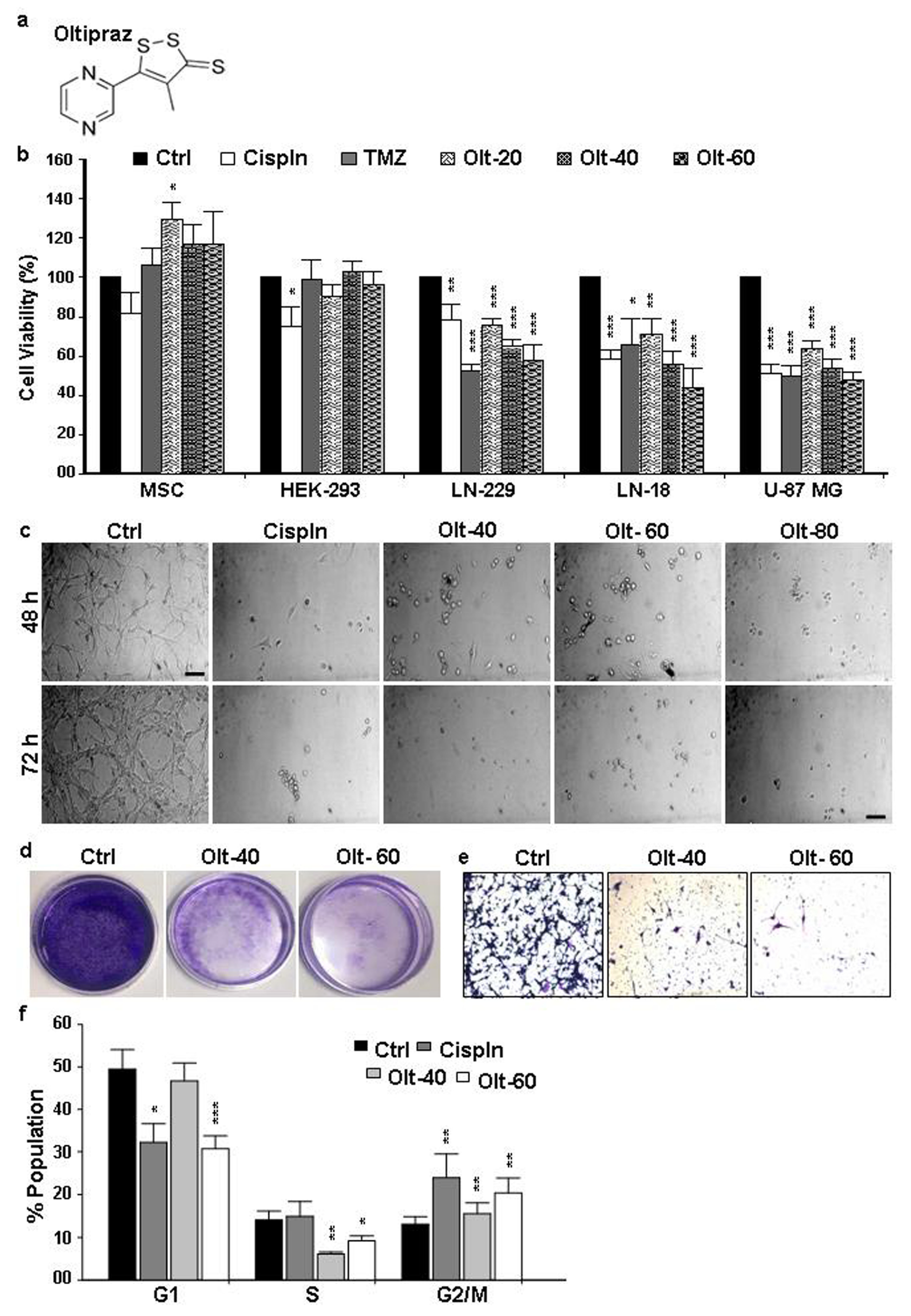 Cells 11 03057 g001 Cells 11 03057 g001