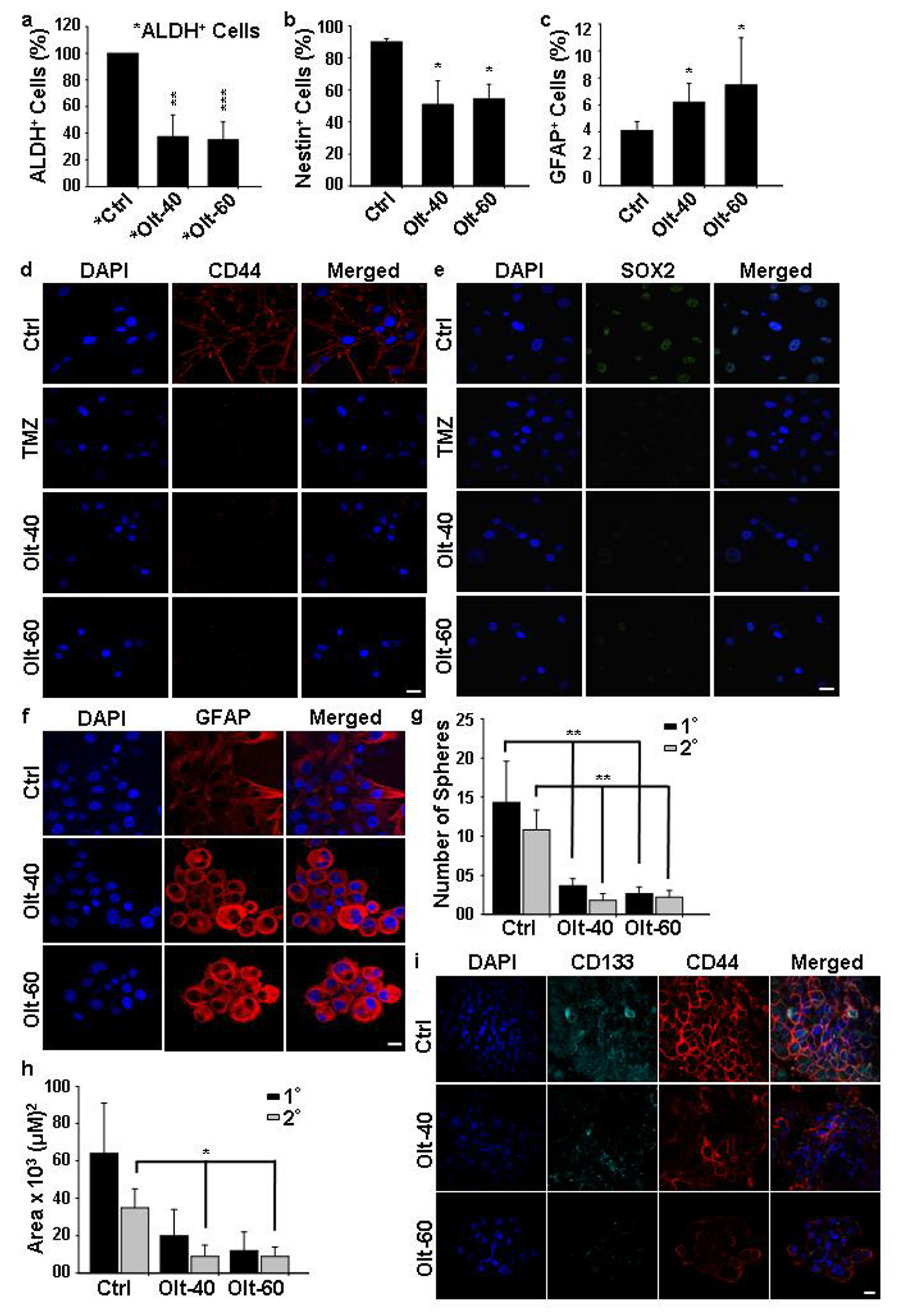 Cells 11 03057 g004 Cells 11 03057 g004