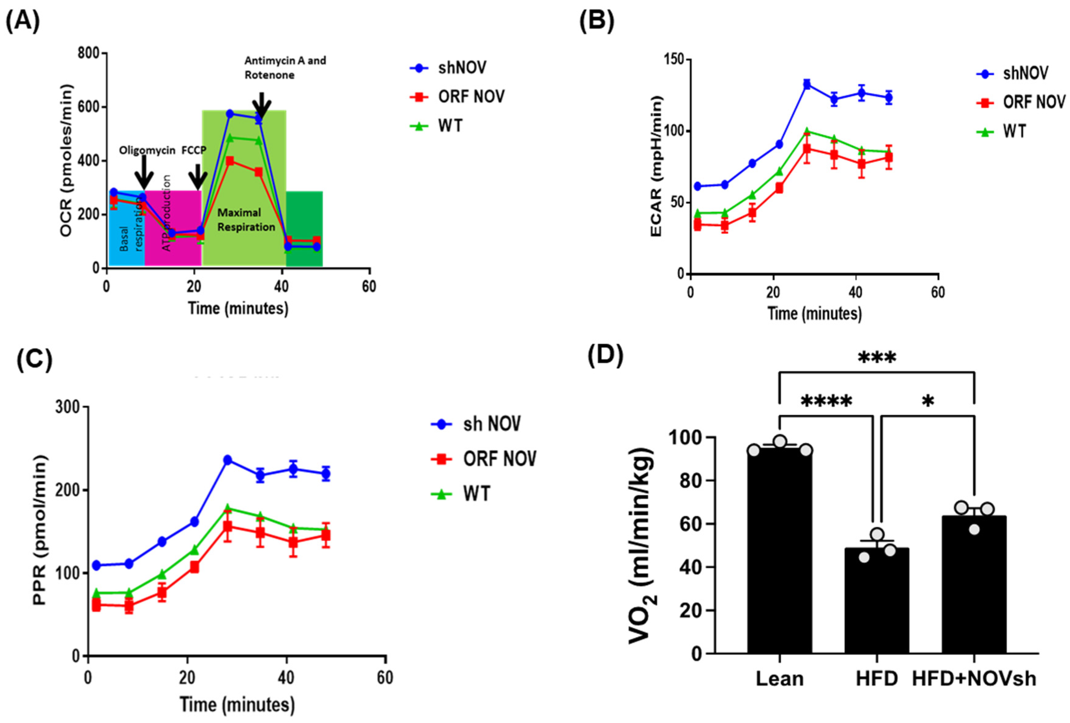 Cells 11 03060 g001 Cells 11 03060 g001