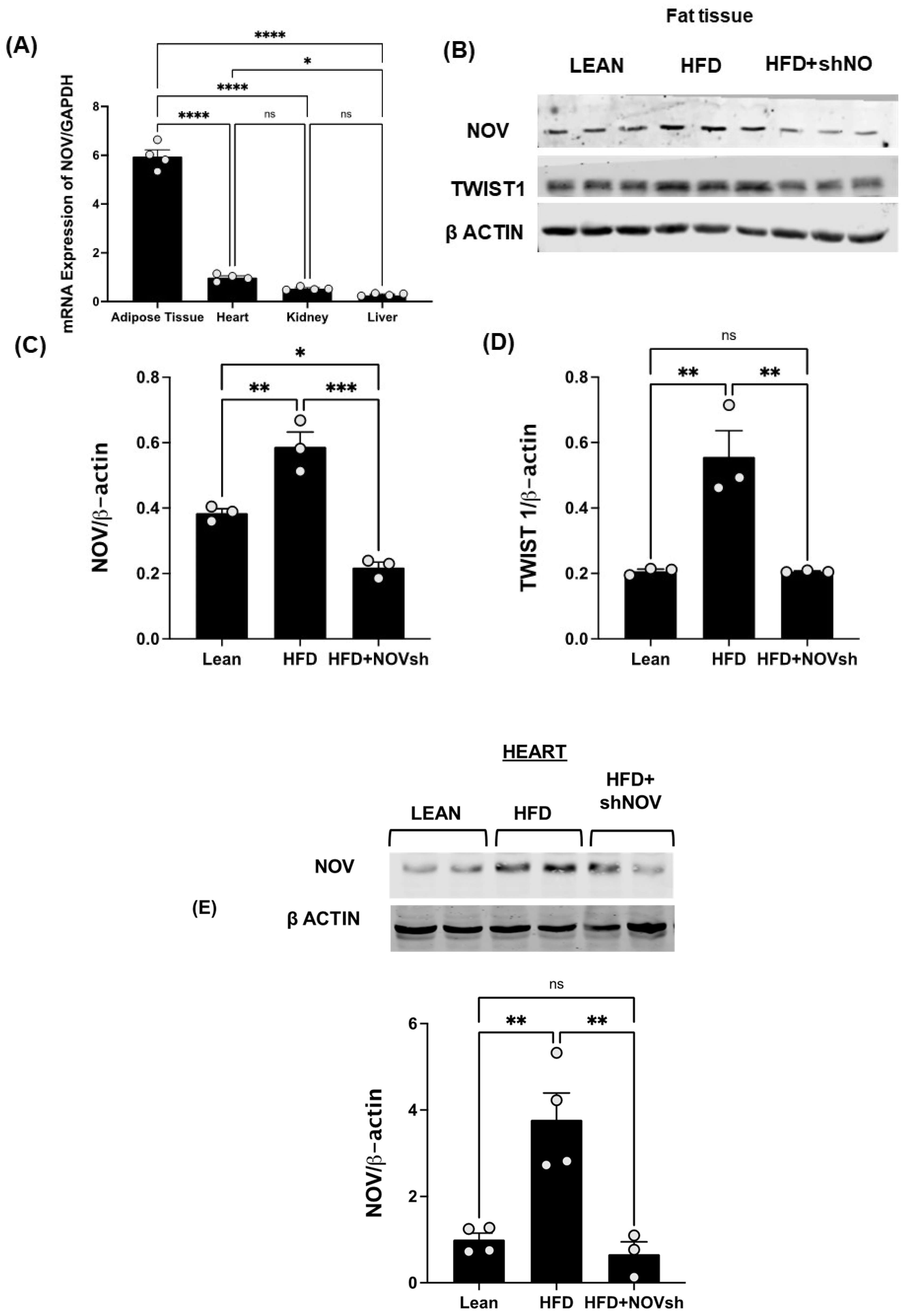 Cells 11 03060 g004 Cells 11 03060 g004