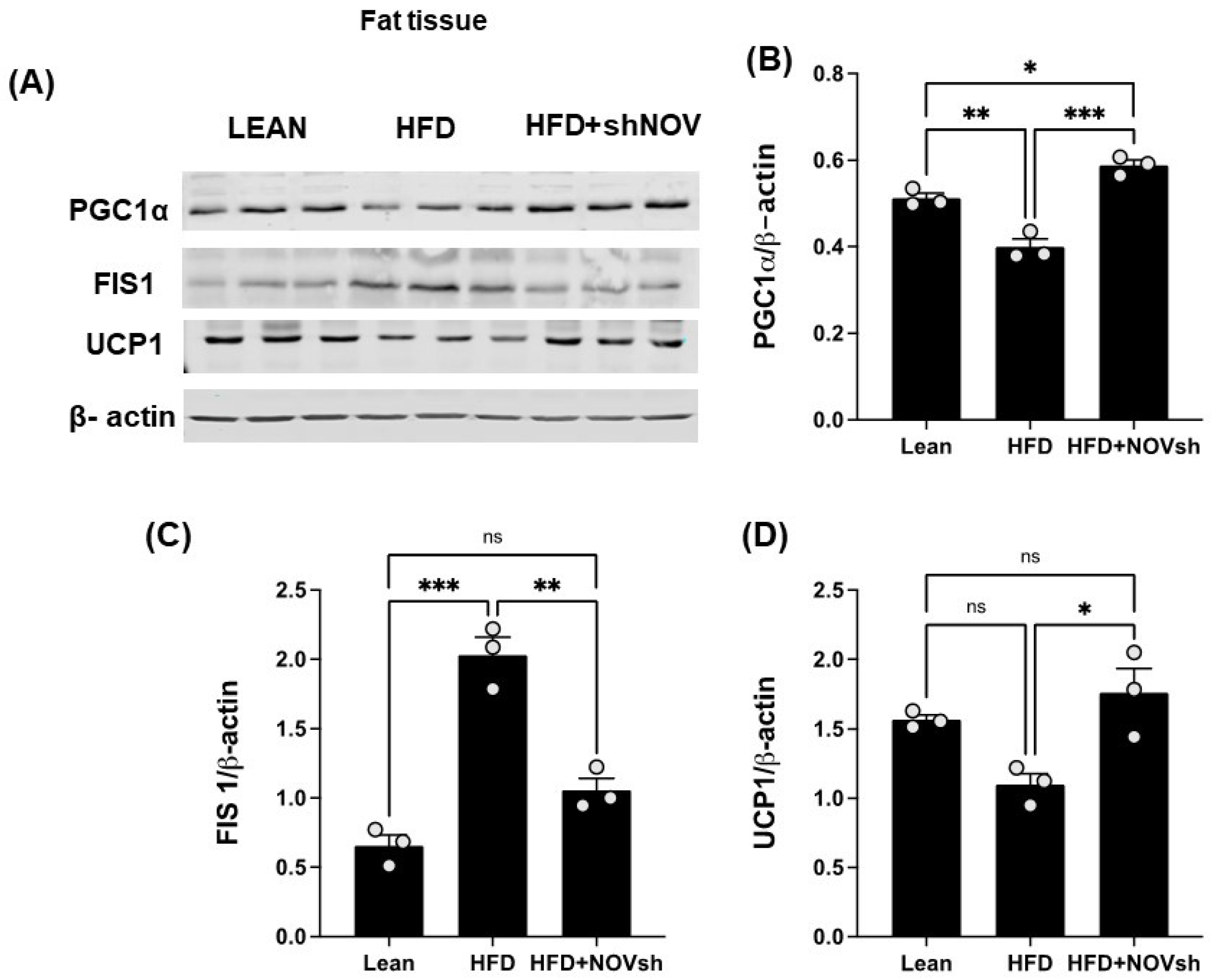Cells 11 03060 g007 Cells 11 03060 g007