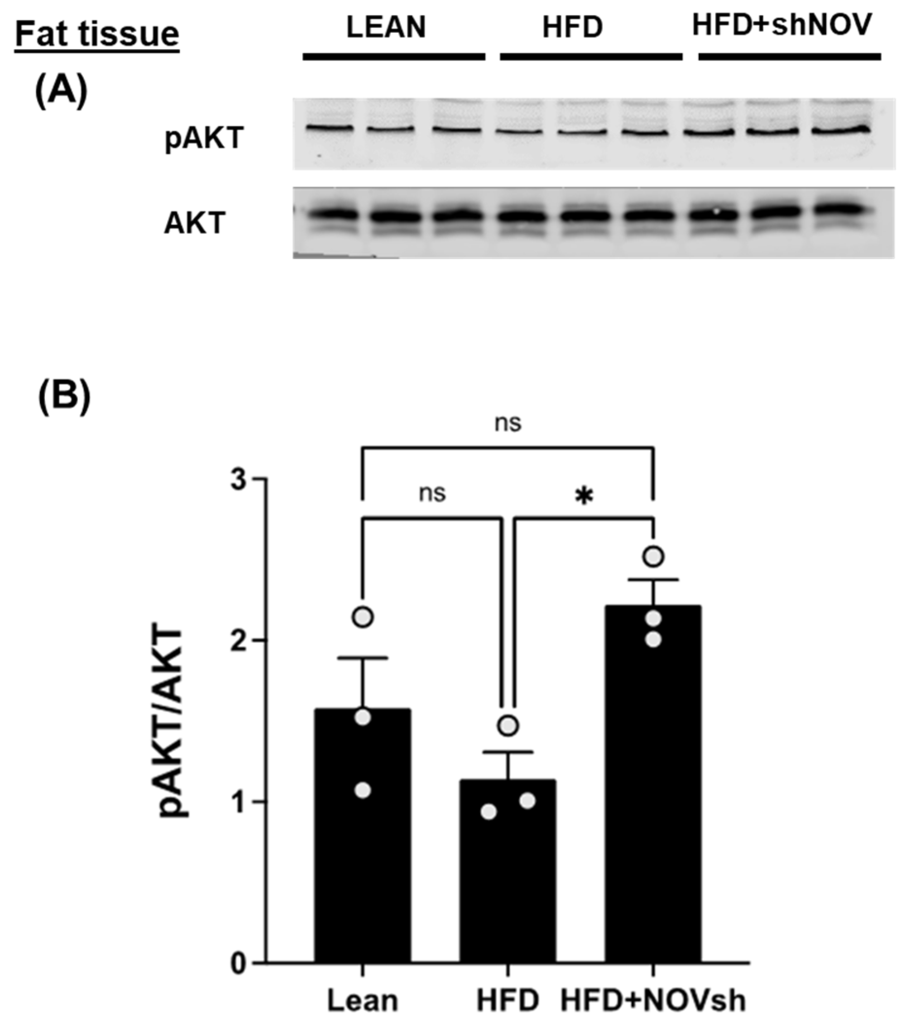 Cells 11 03060 g008 Cells 11 03060 g008