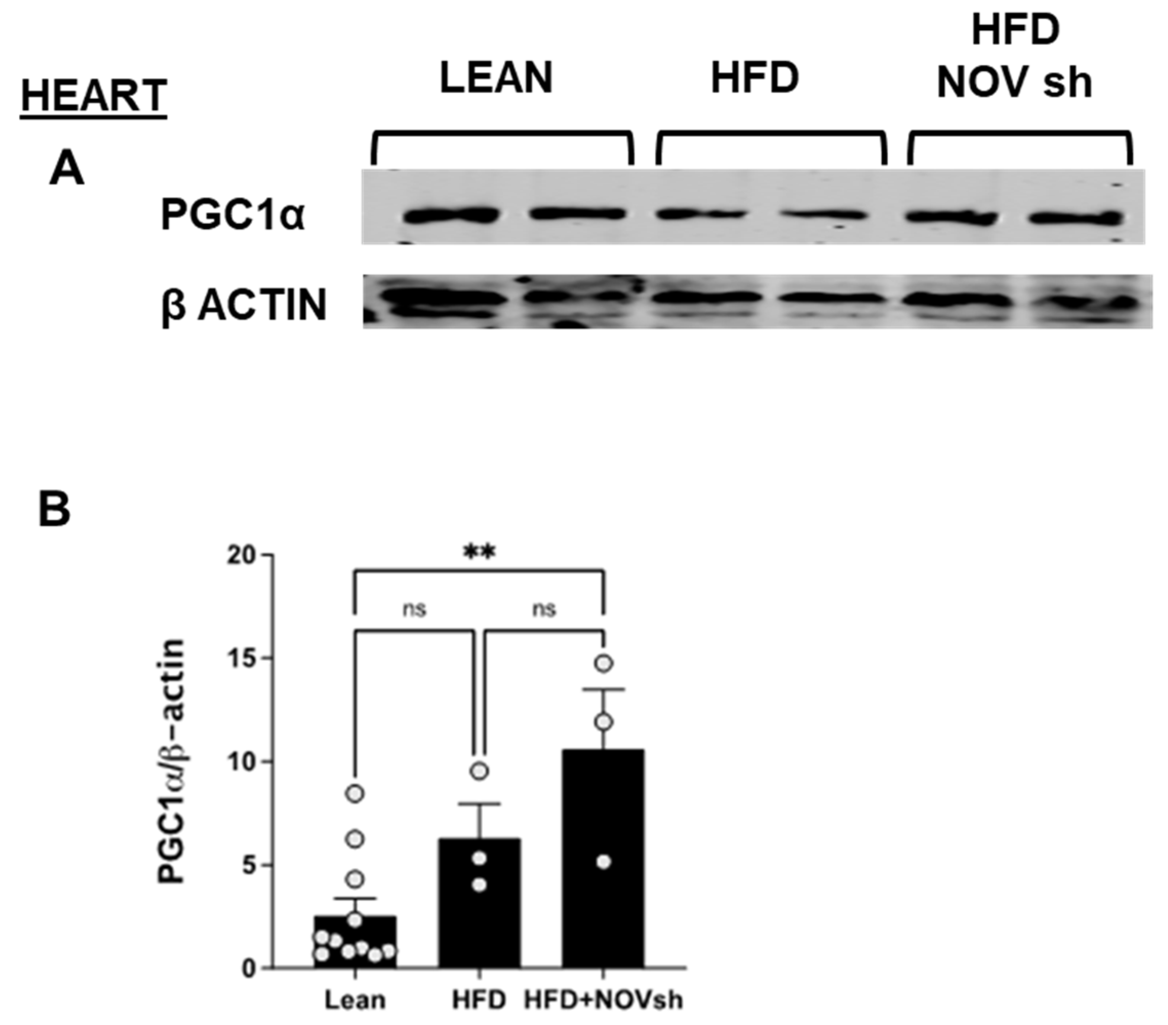 Cells 11 03060 g009 Cells 11 03060 g009