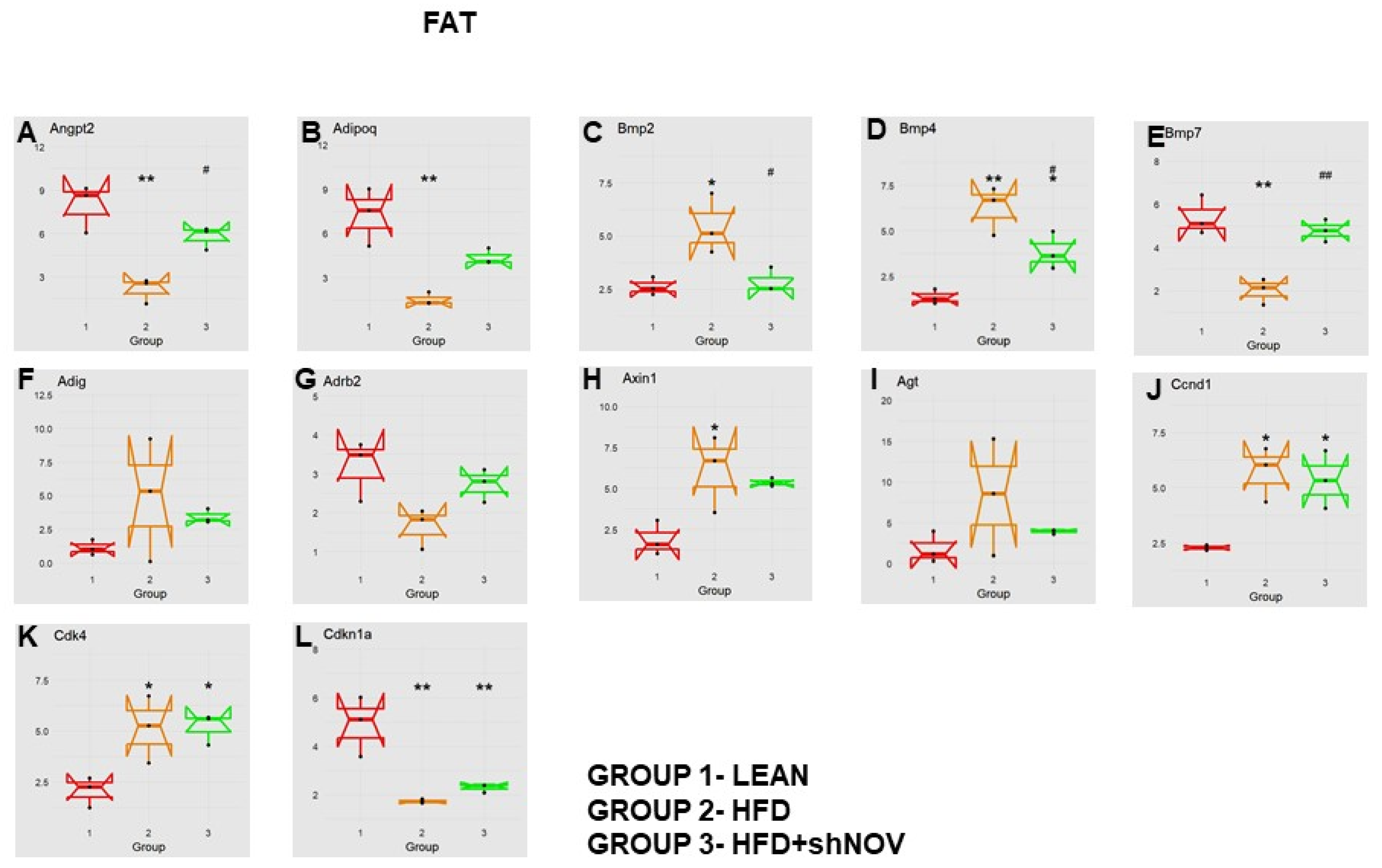 Cells 11 03060 g010 Cells 11 03060 g010
