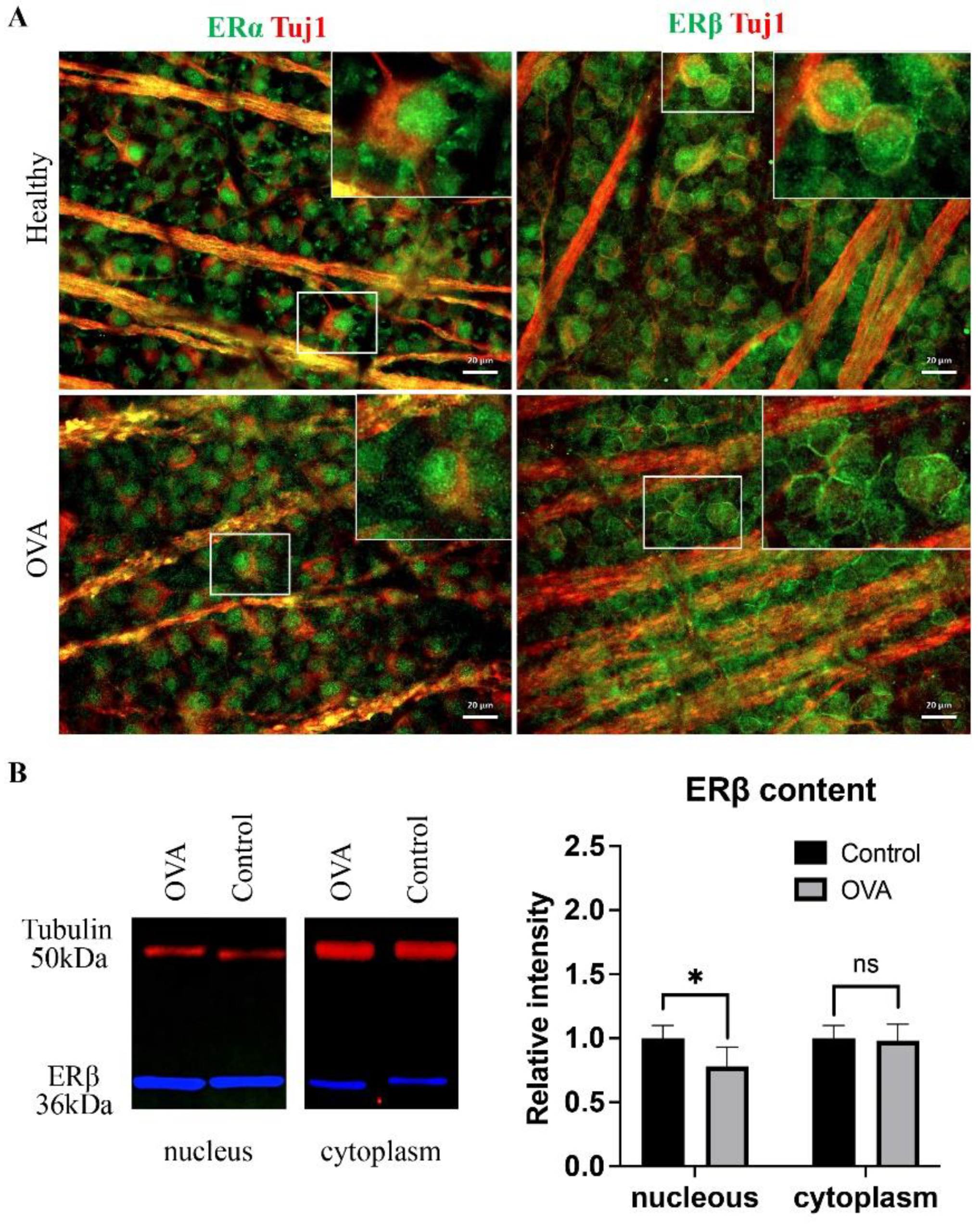 Cells 11 03062 g002a Cells 11 03062 g002a